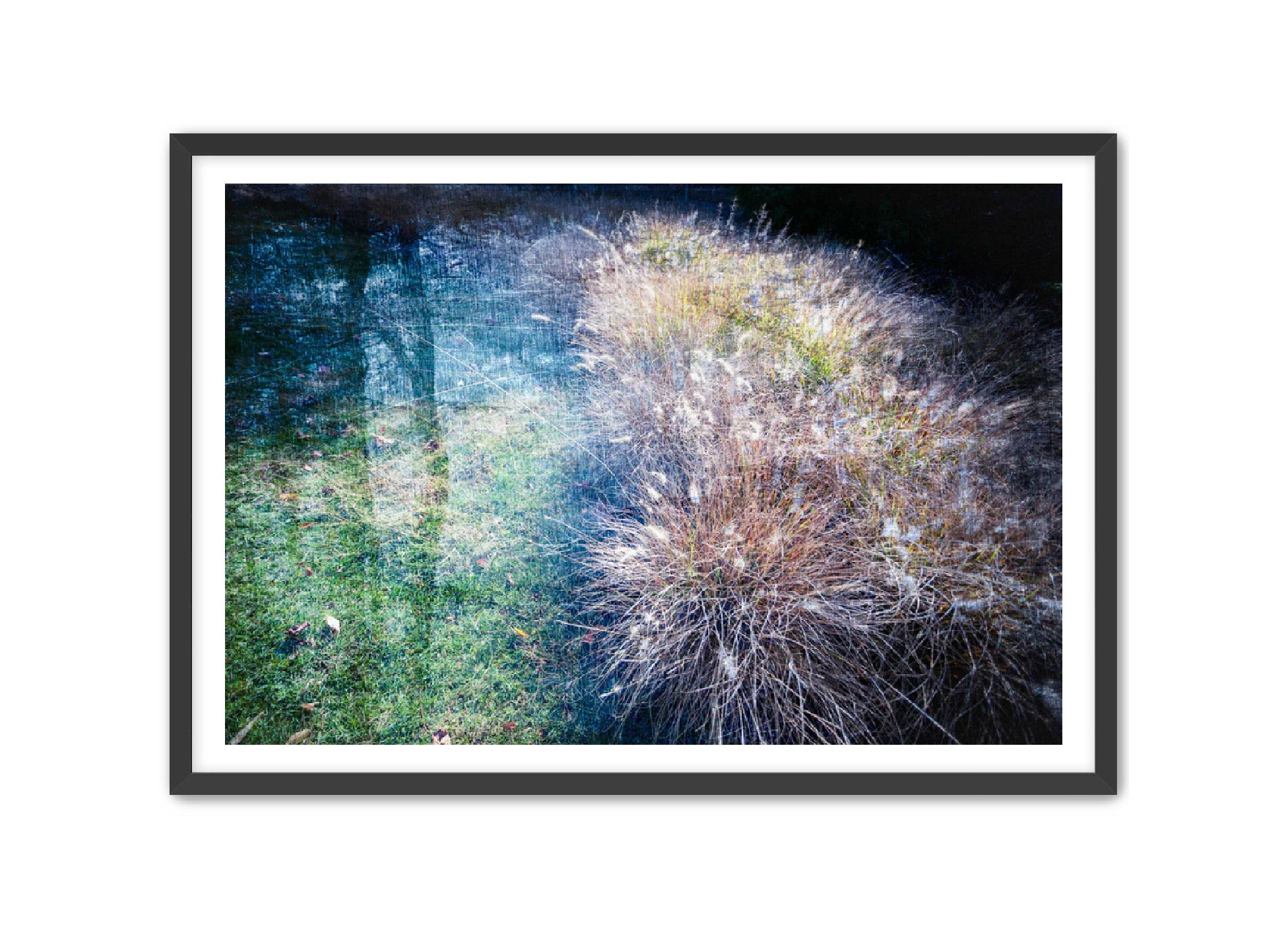 PhotoArt Prints 'GRASSES' Danielle Neumann Kelly