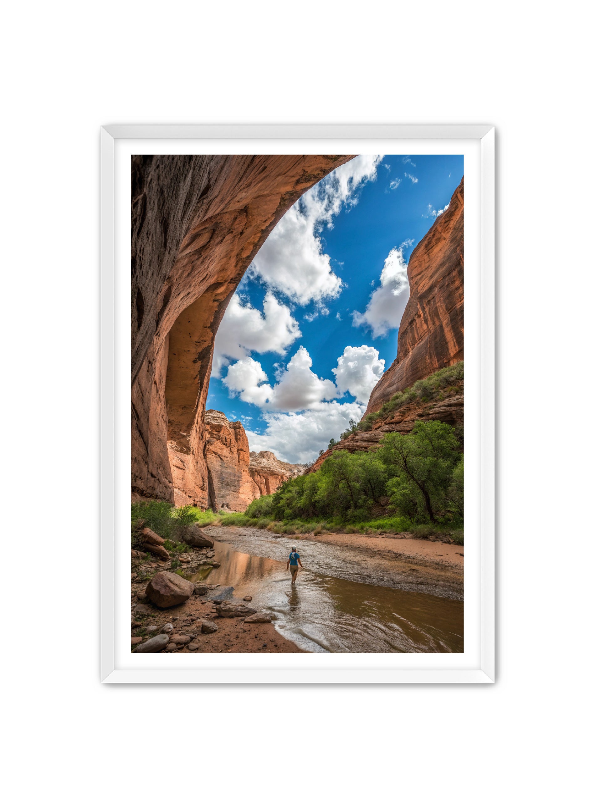 Apricus Prints 'Arches Creek' Apricus Art Collection