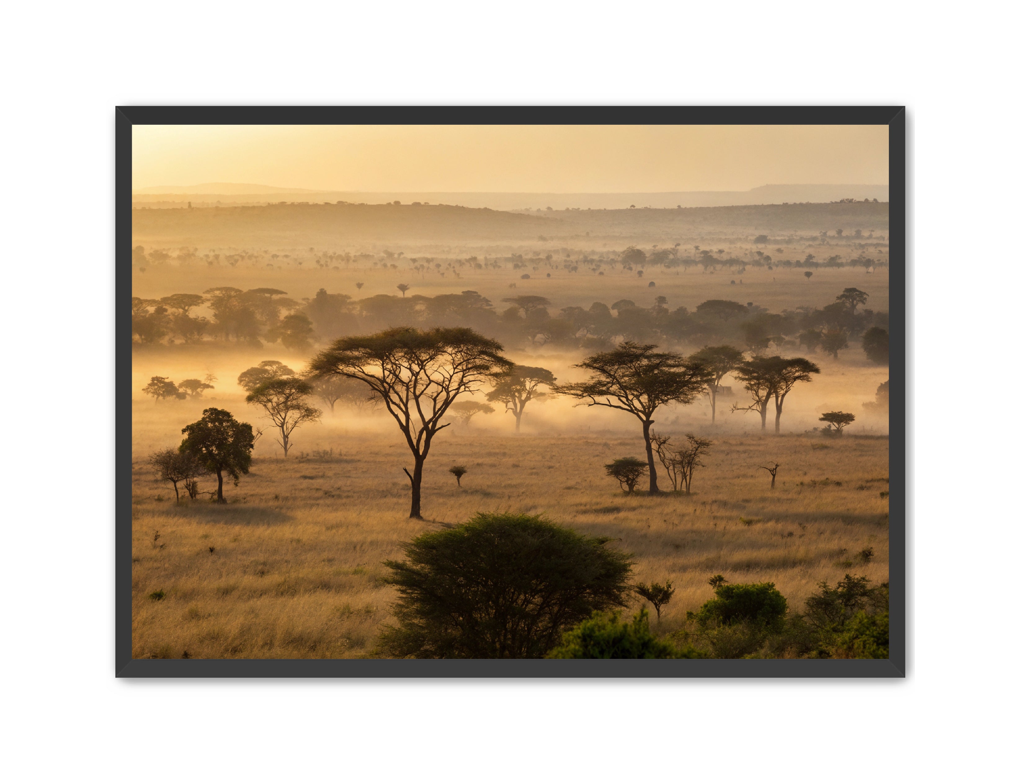 Apricus Prints 'Sunrise on the Serengeti' Apricus Art Collection