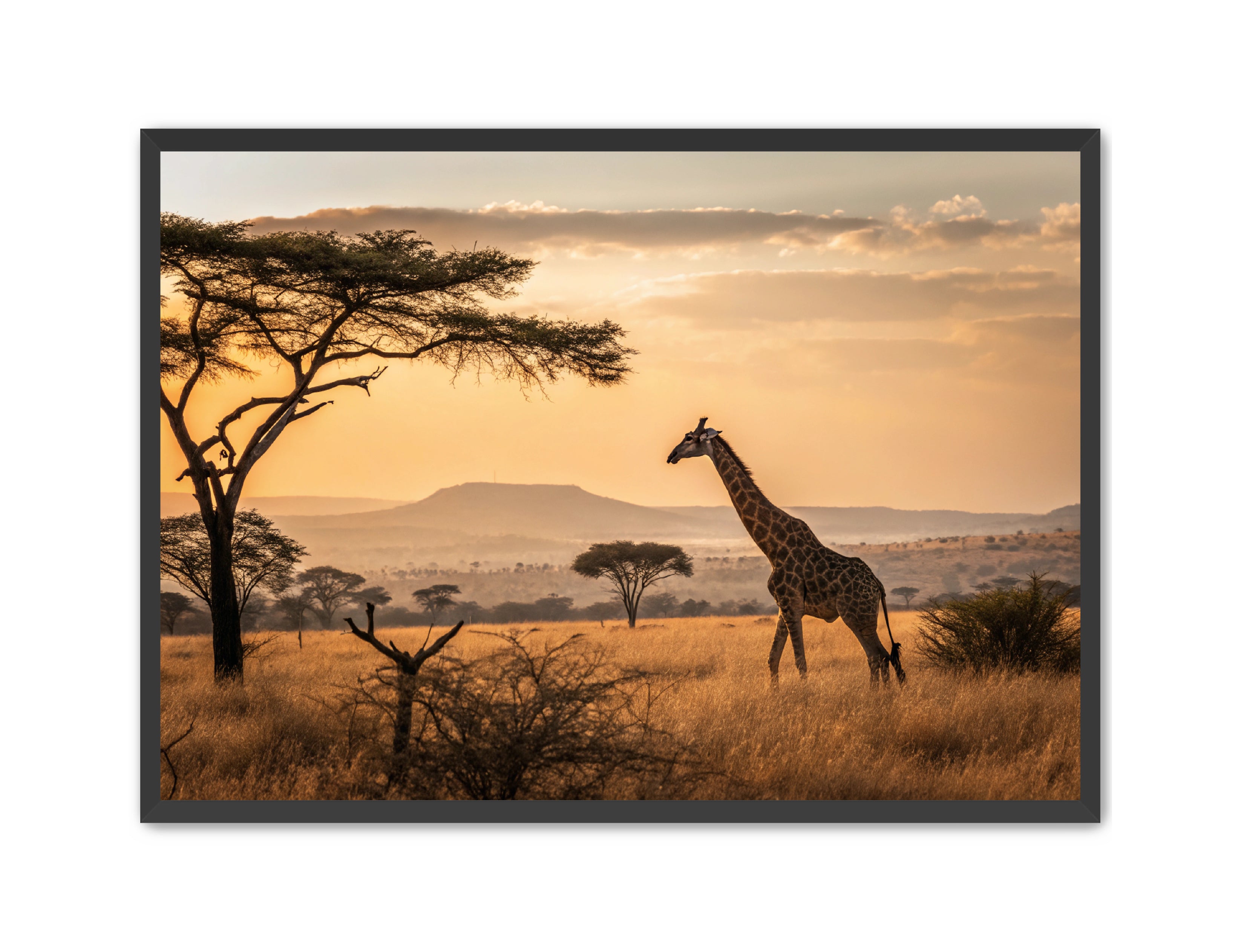 Apricus Prints 'Homeward Bound' Apricus Art Collection