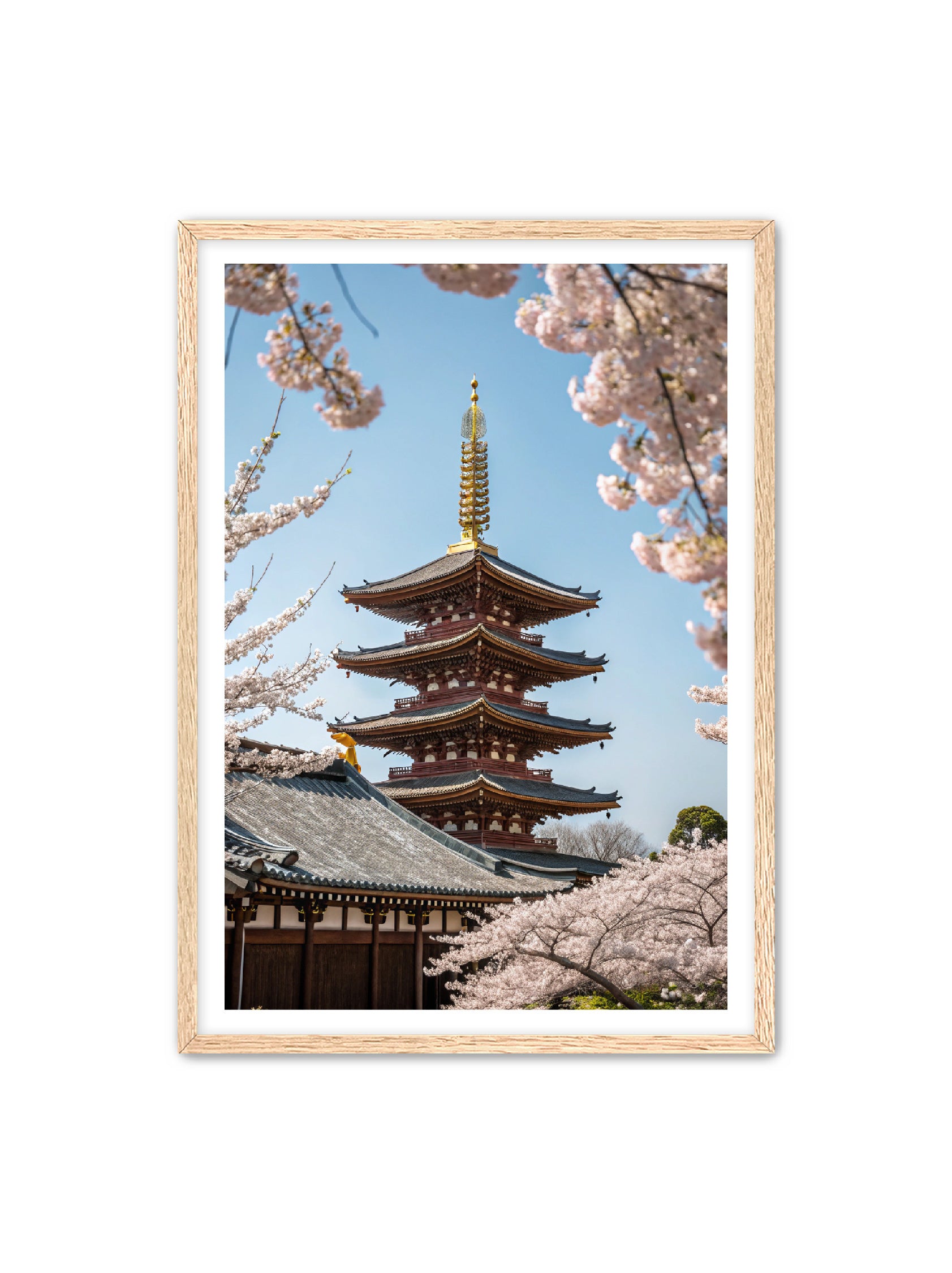 Apricus Prints 'Blossom Fortress' Apricus Art Collection