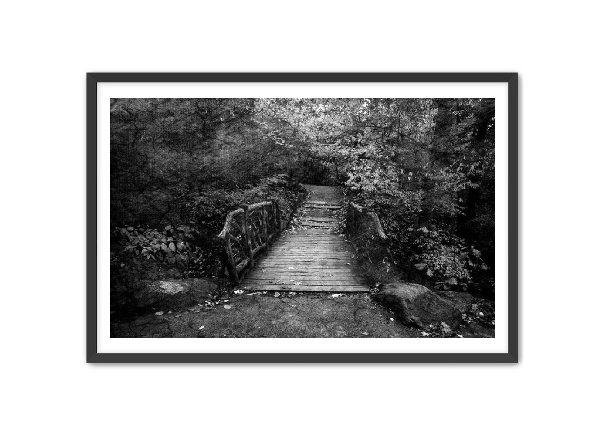 PhotoArt Prints 'PARK PATH' Danielle Neumann Kelly