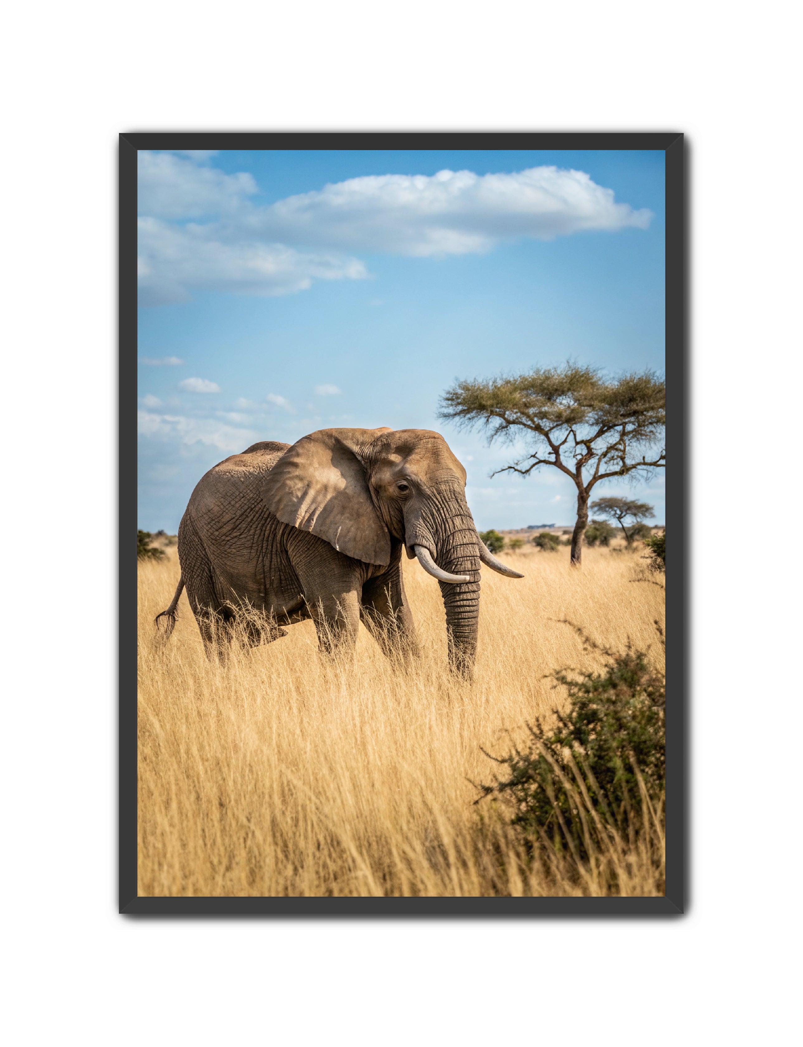 Apricus Prints 'Ellie, The Gentle Giant' Apricus Art Collection