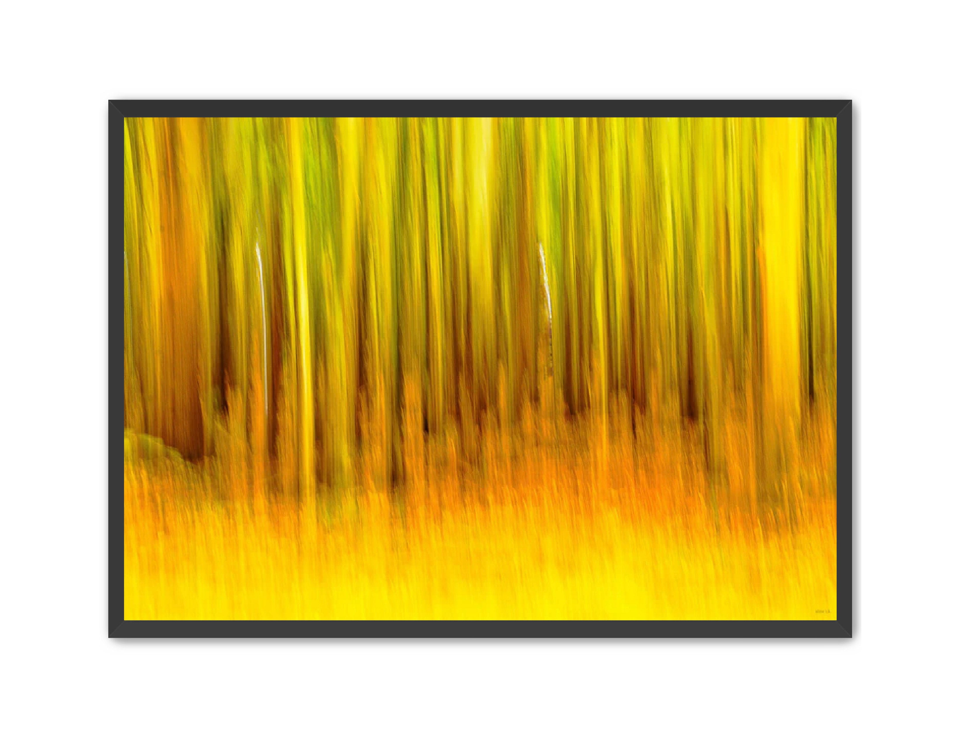 Abstract Photography Prints 'The forest' Aline Karagozlu