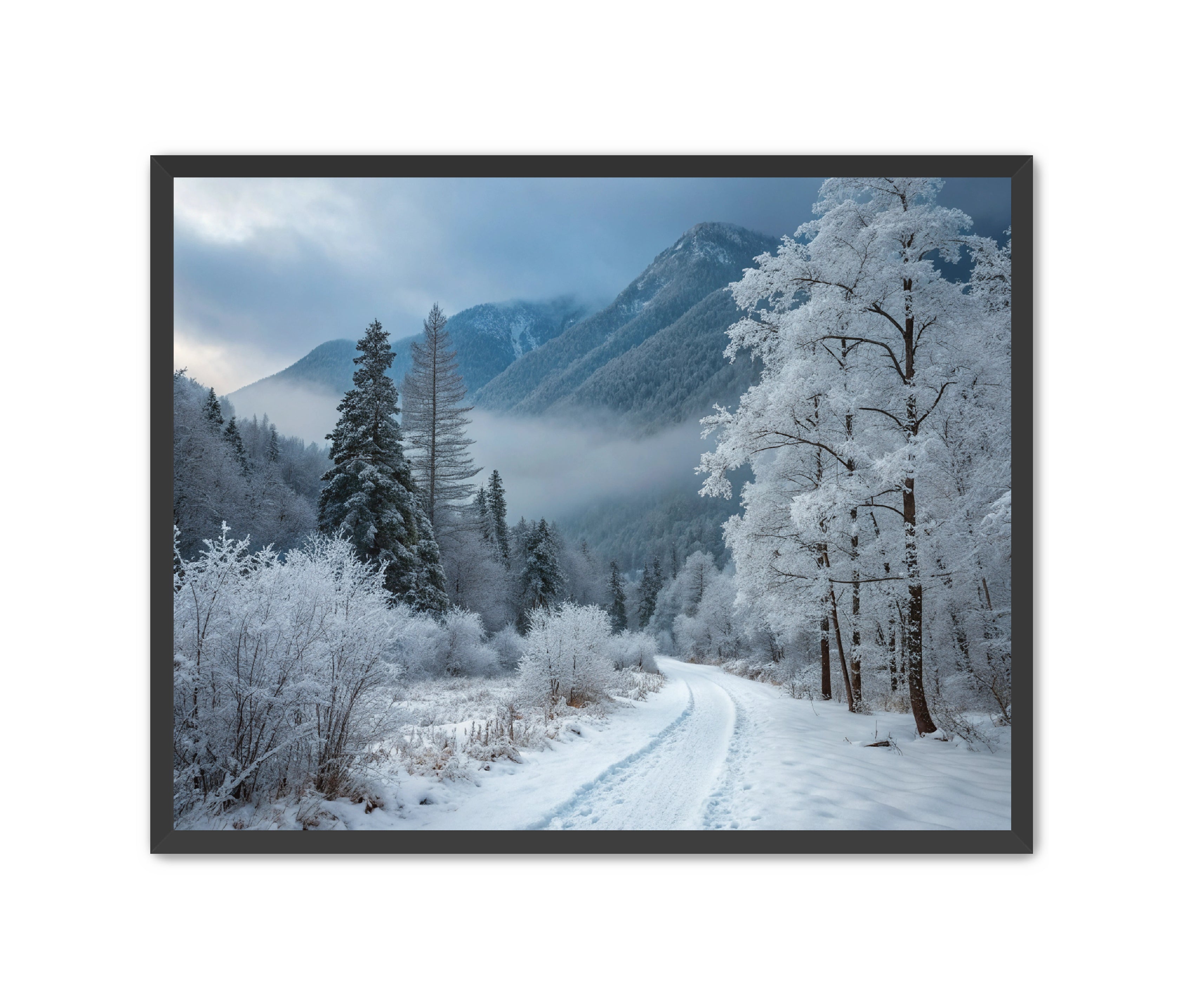 Apricus Prints 'Telluride Way' Apricus Art Collection