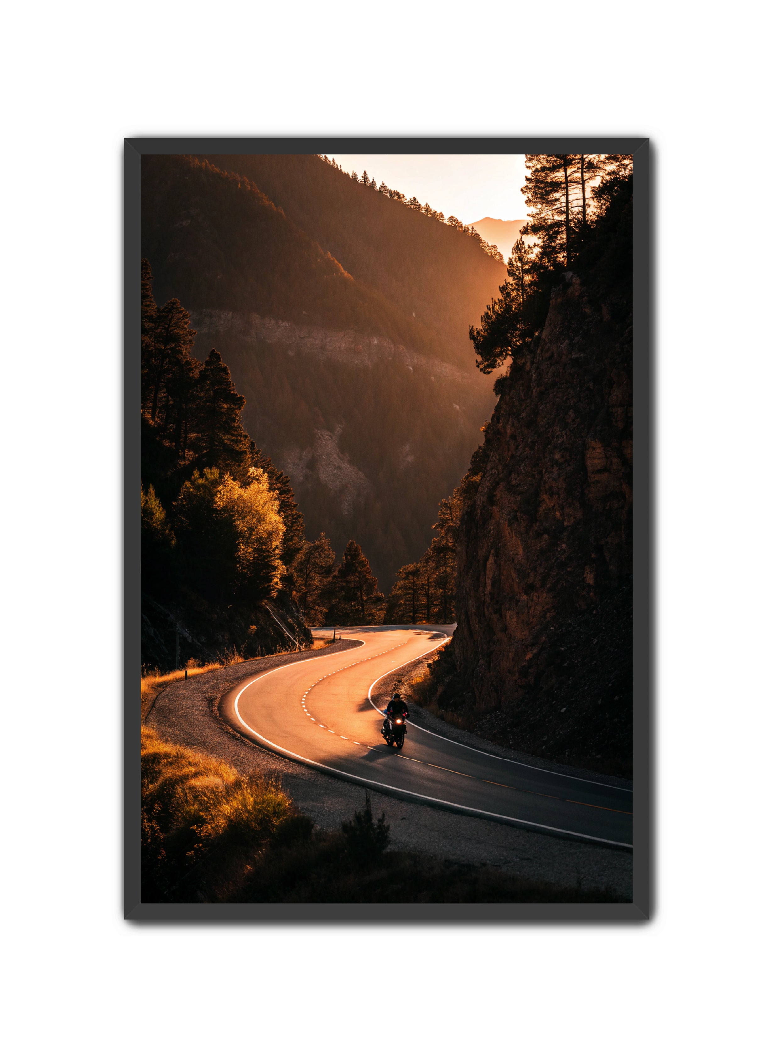 Apricus Prints 'Riding the Ridge' Apricus Art Collection