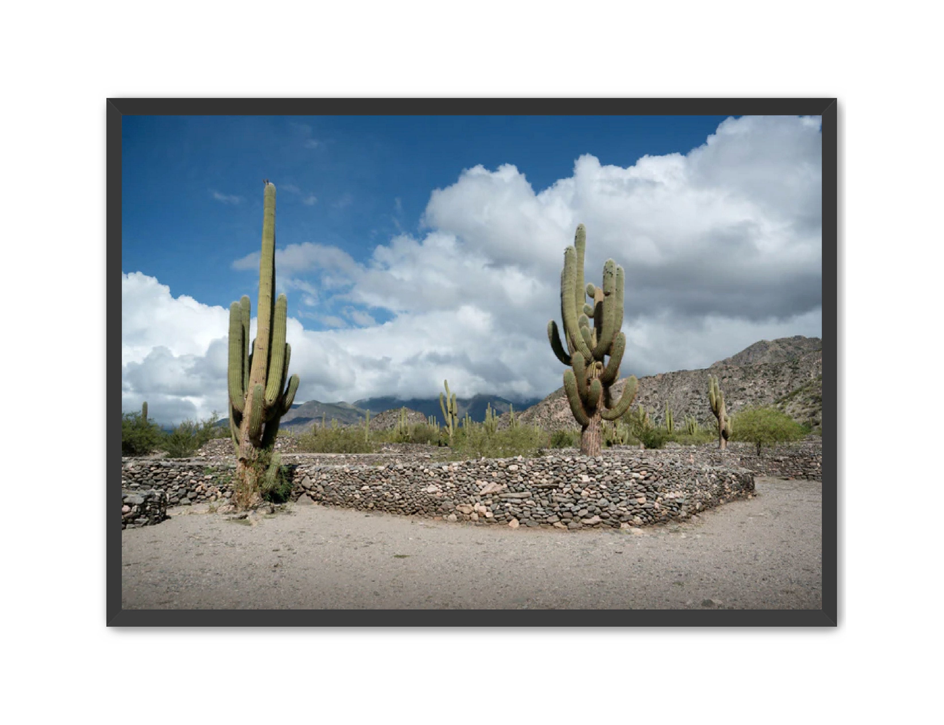 Landscape Photography Prints 'Cactus on the way' Aline Karagozlu