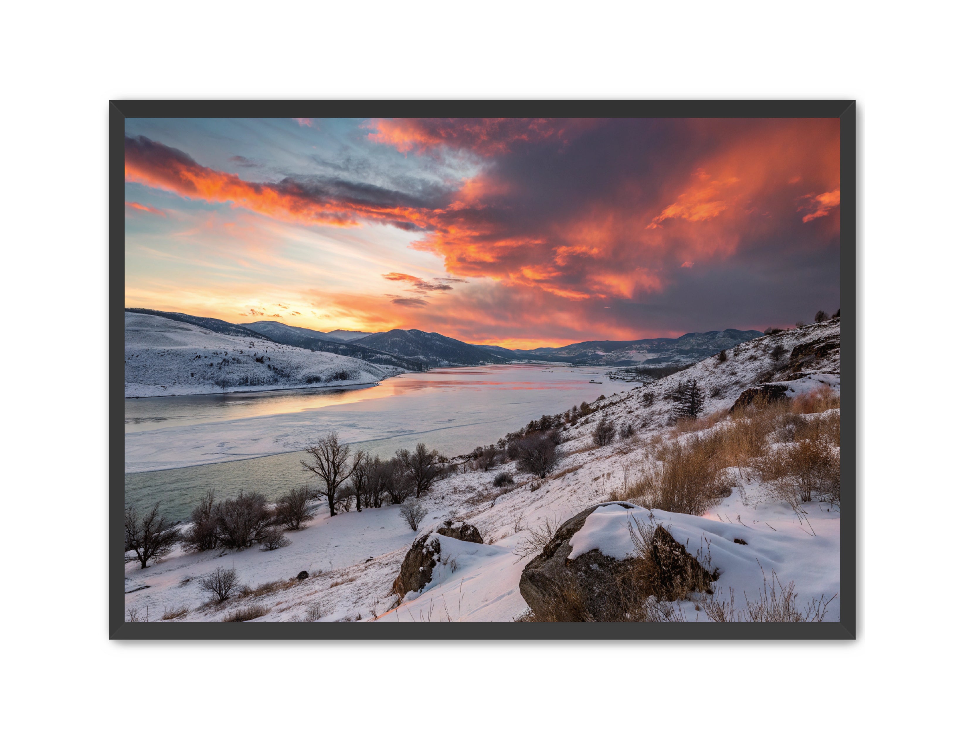 Apricus Prints 'Winter Reds' Apricus Art Collection