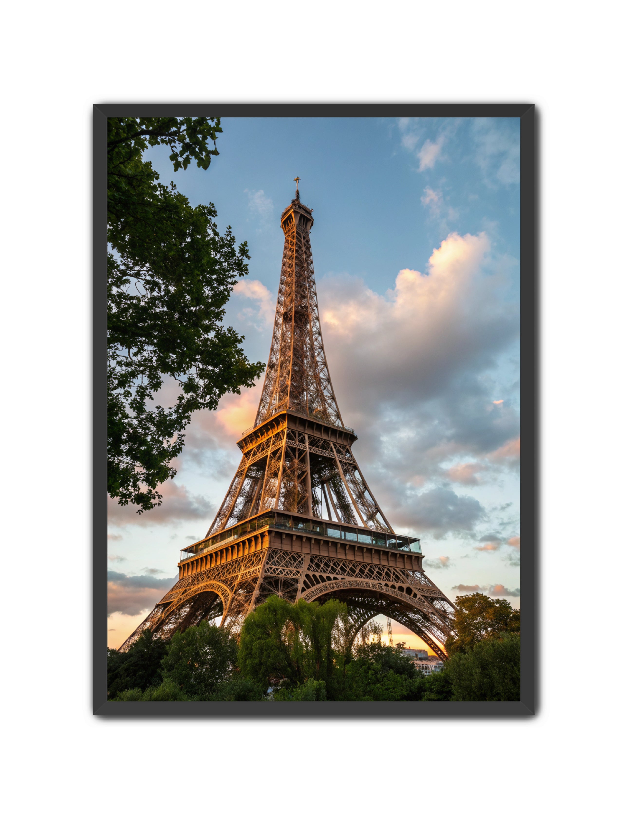 Apricus Prints 'Paris Bloom' Apricus Art Collection