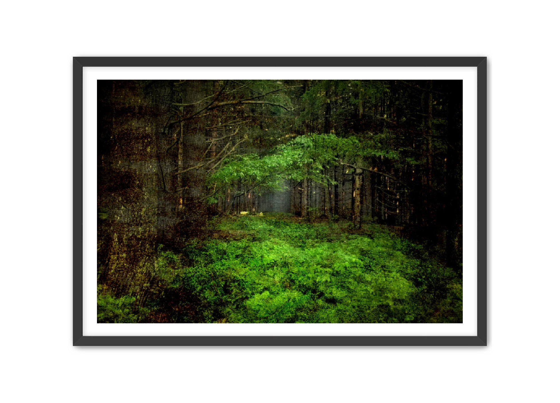 PhotoArt Prints 'TEXTURED TREES 3' Danielle Neumann Kelly