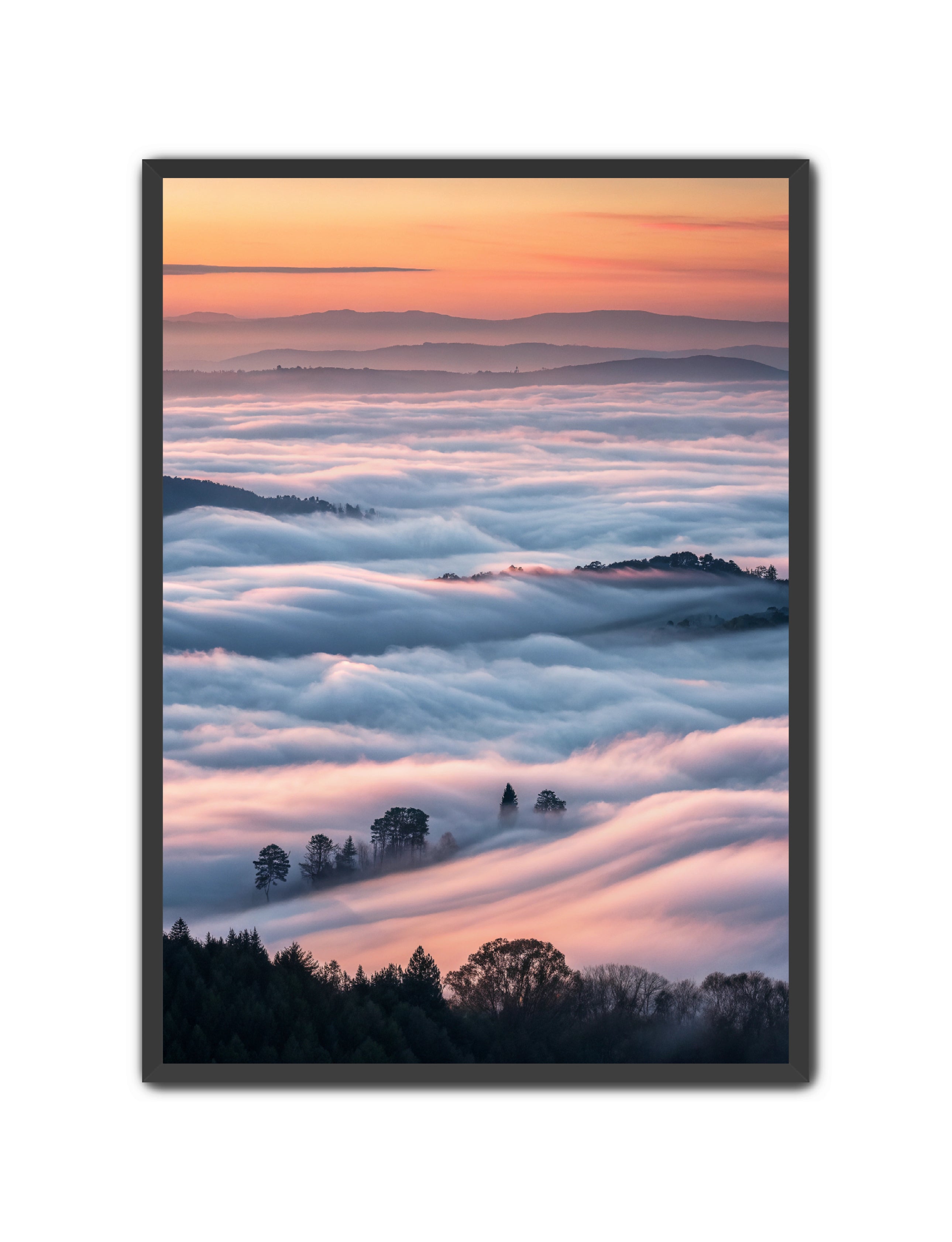 Apricus Prints 'Clouded Canopy' Apricus Art Collection