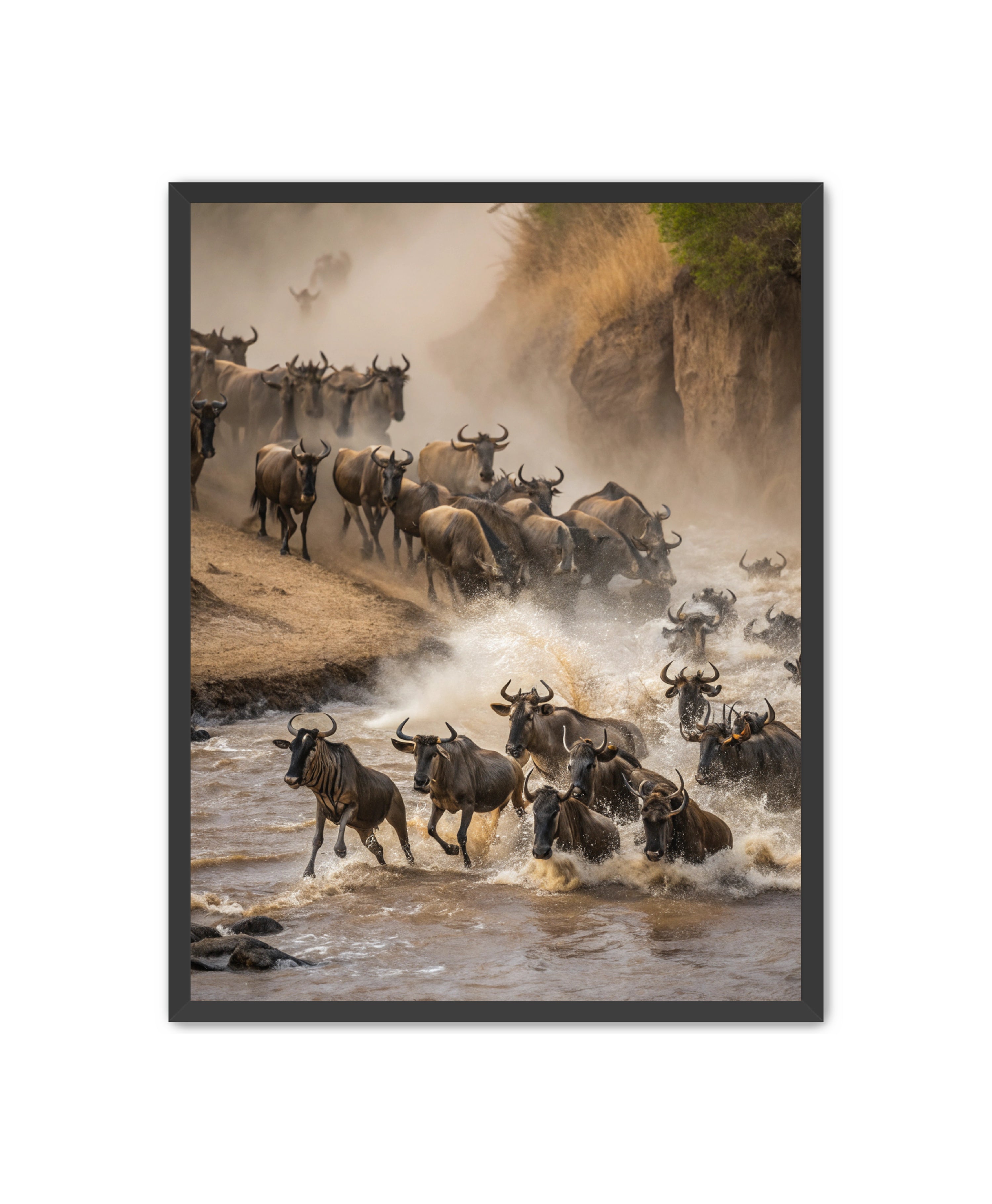 Apricus Prints 'Stampede Crossing' Apricus Art Collection