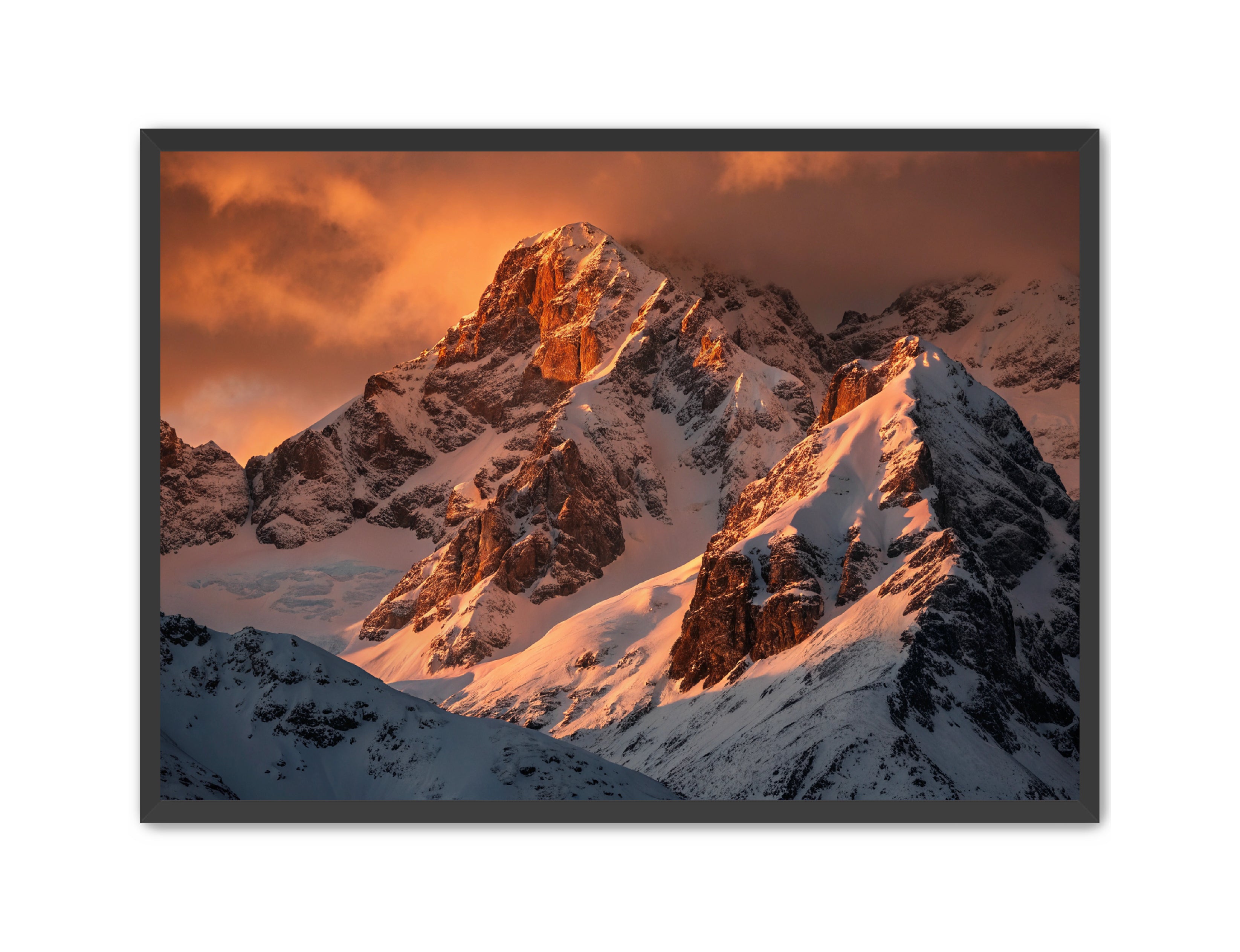 Apricus Prints 'Crimson Crown of the Himalayas' Apricus Art Collection