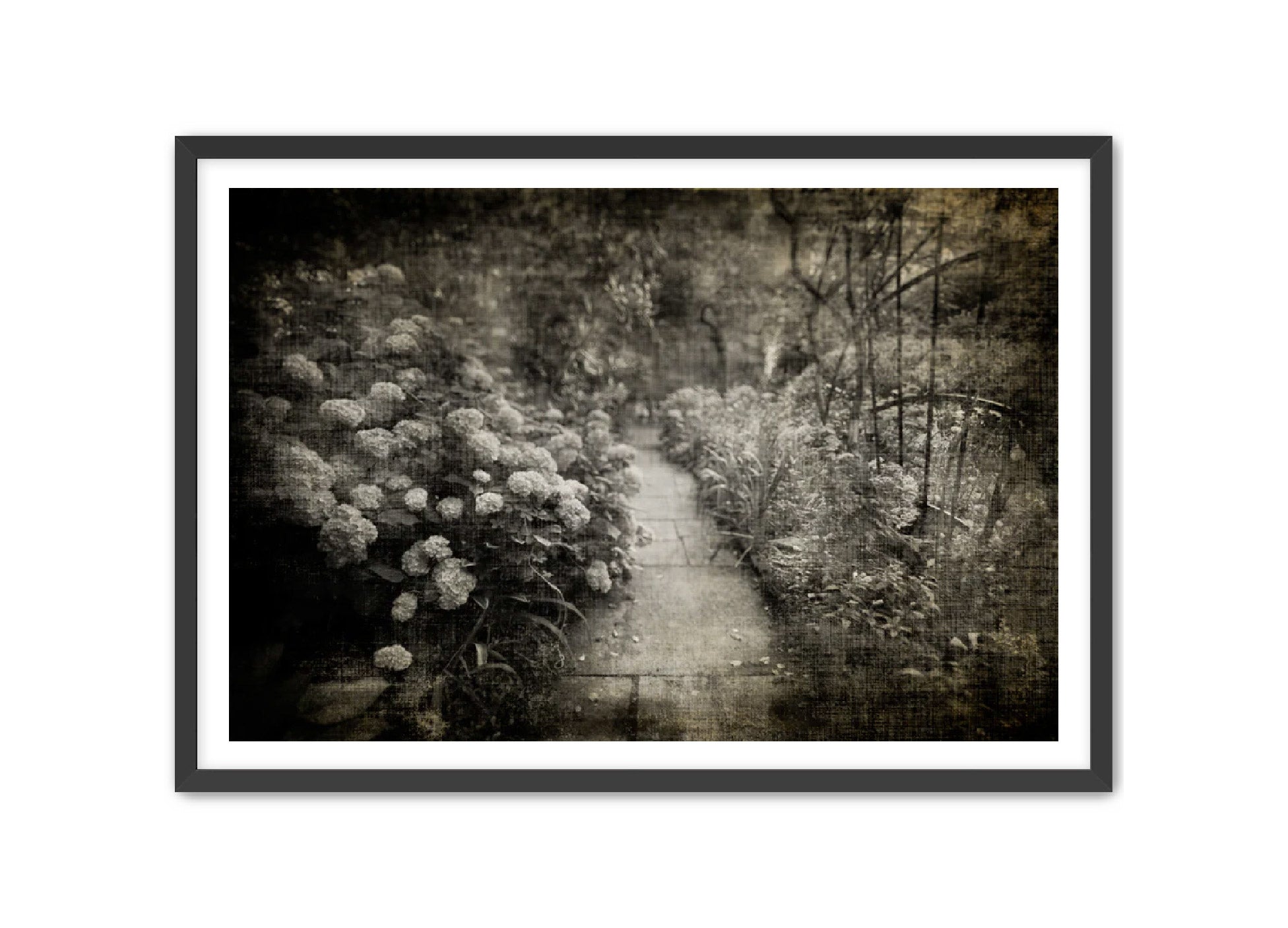 PhotoArt Prints 'PARK PATH 2' Danielle Neumann Kelly