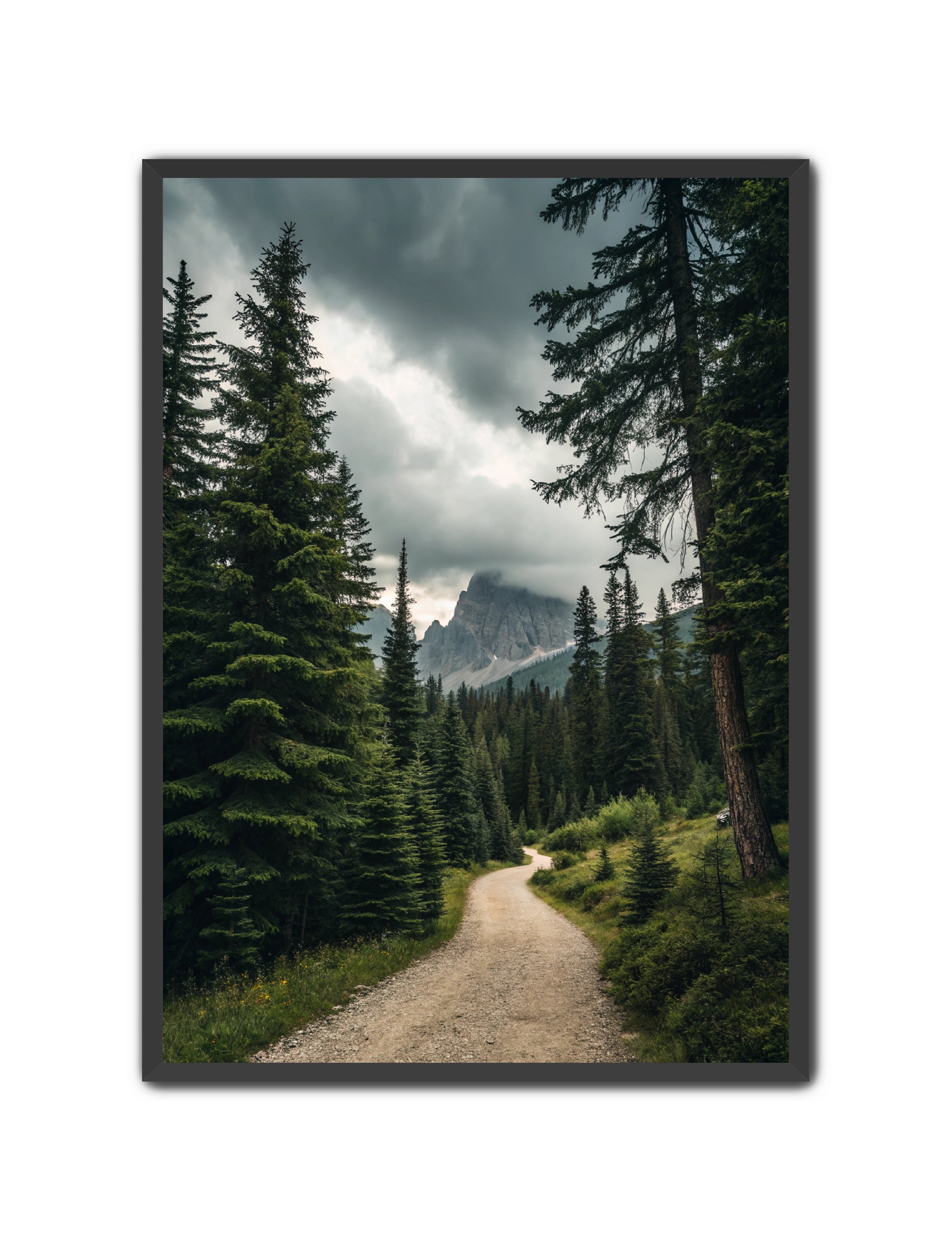 Apricus Prints 'Path to the Peaks' Apricus Art Collection