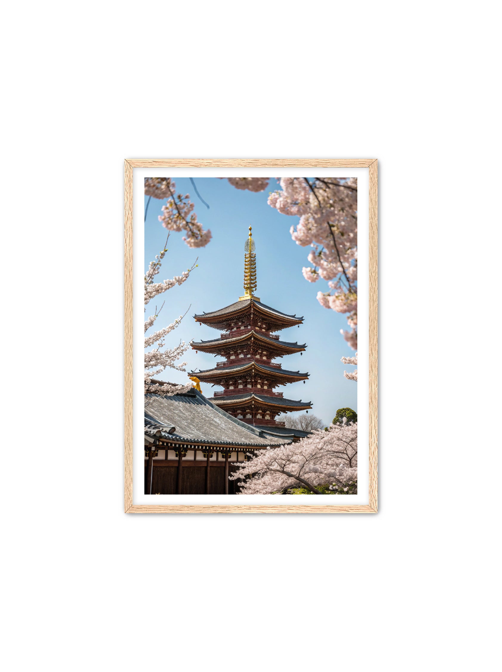 Apricus Prints 'Blossom Fortress' Apricus Art Collection