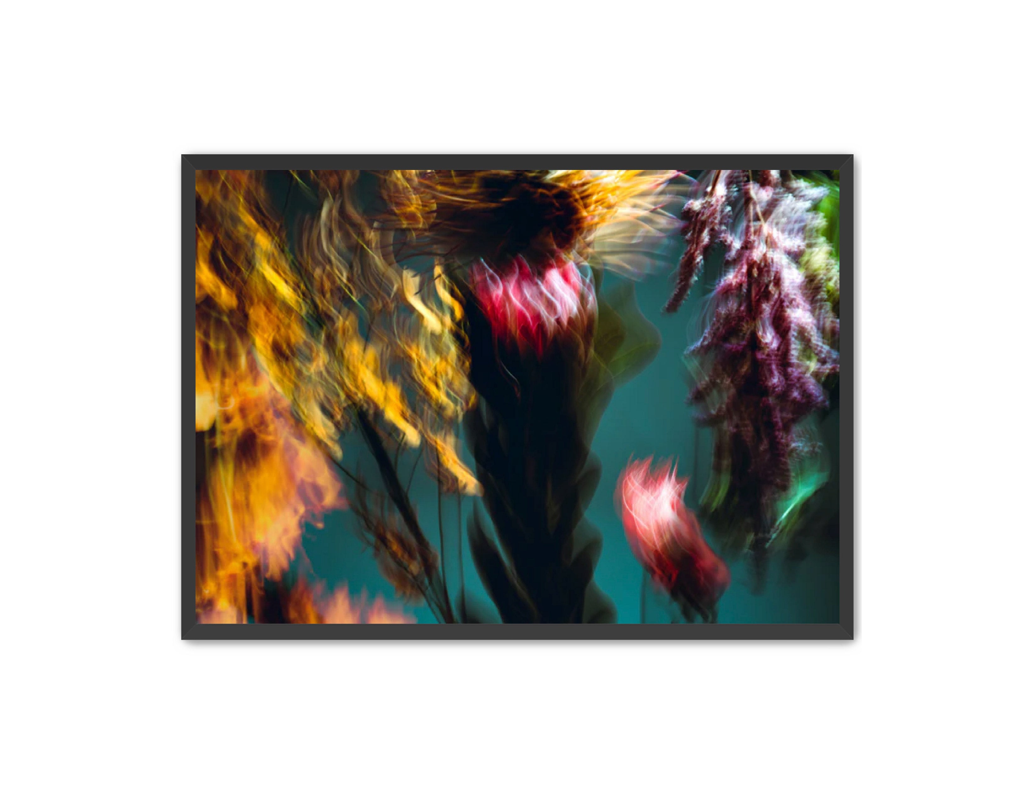 Photography Prints 'Fleur Bleur' Reed Decker