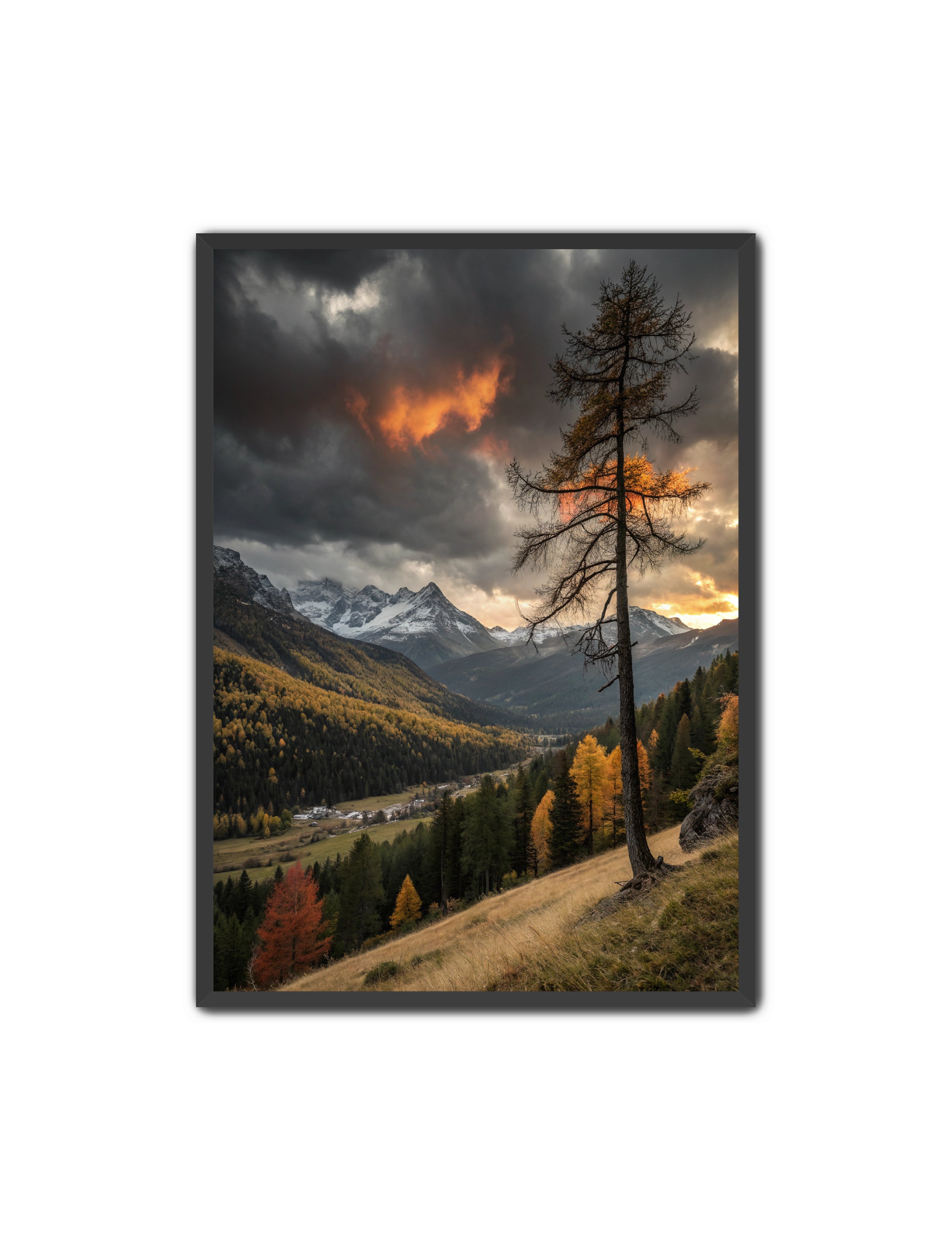 Apricus Prints 'San Juan Fall' Apricus Art Collection