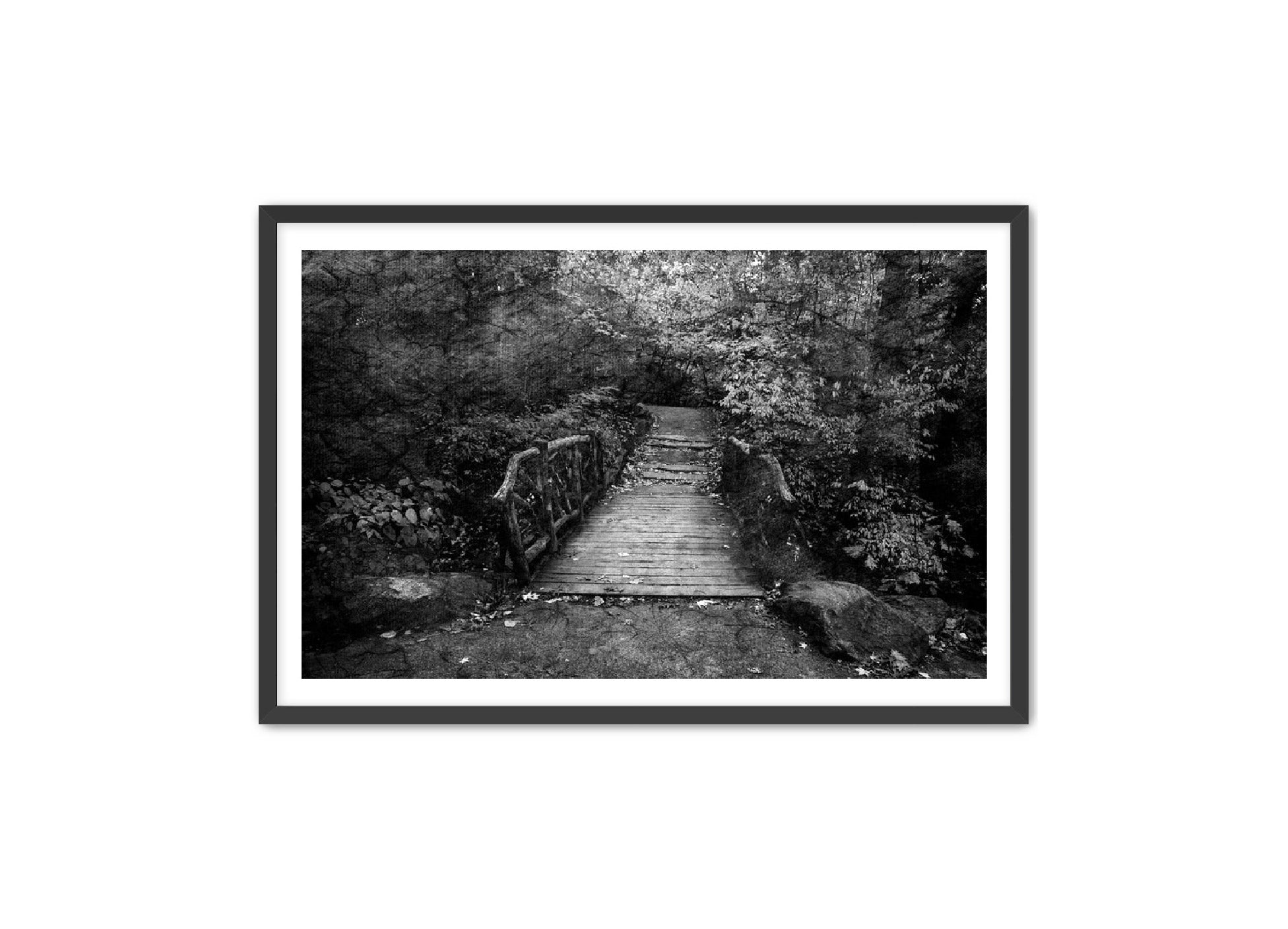 PhotoArt Prints 'PARK PATH' Danielle Neumann Kelly