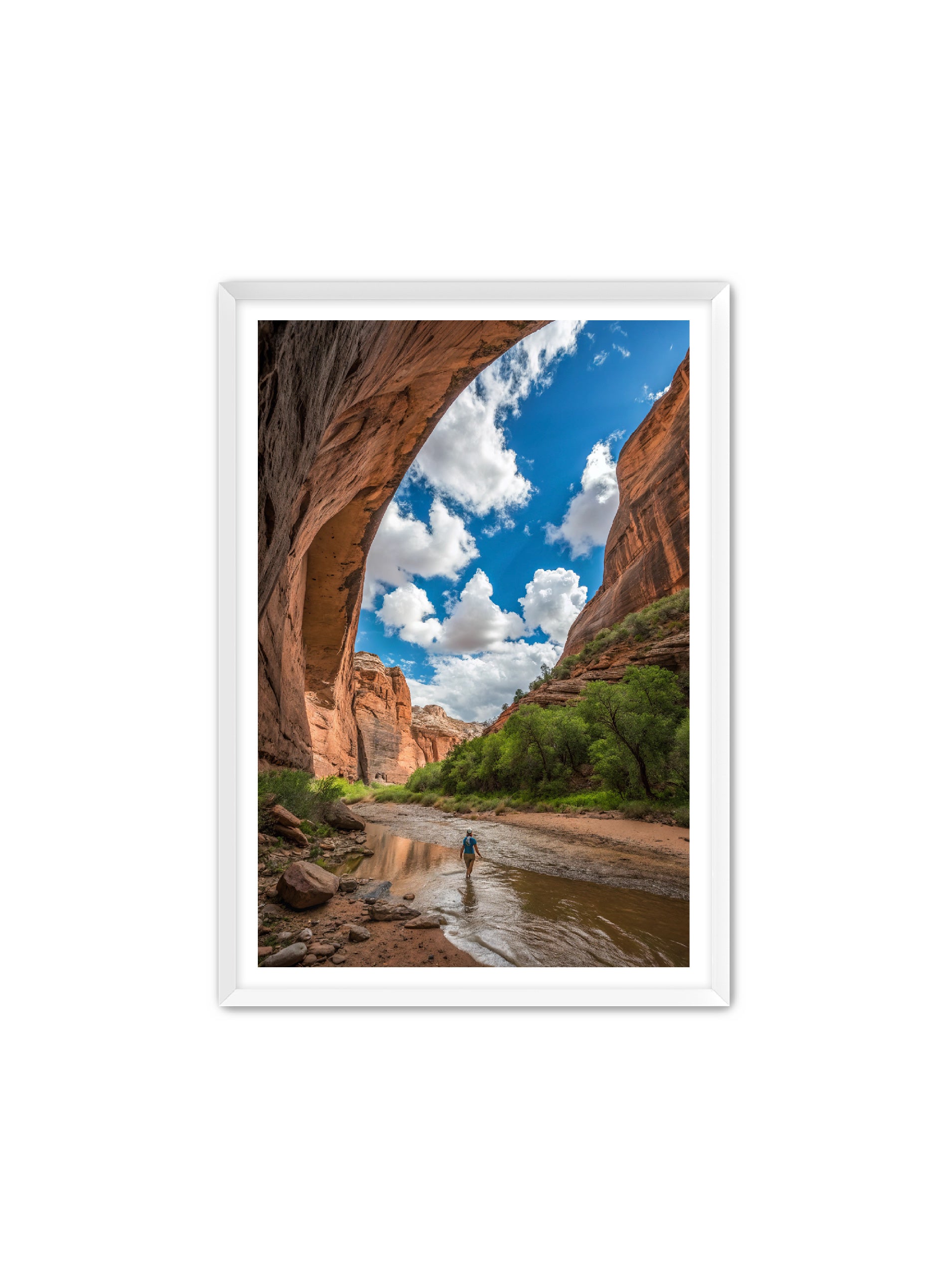 Apricus Prints 'Arches Creek' Apricus Art Collection