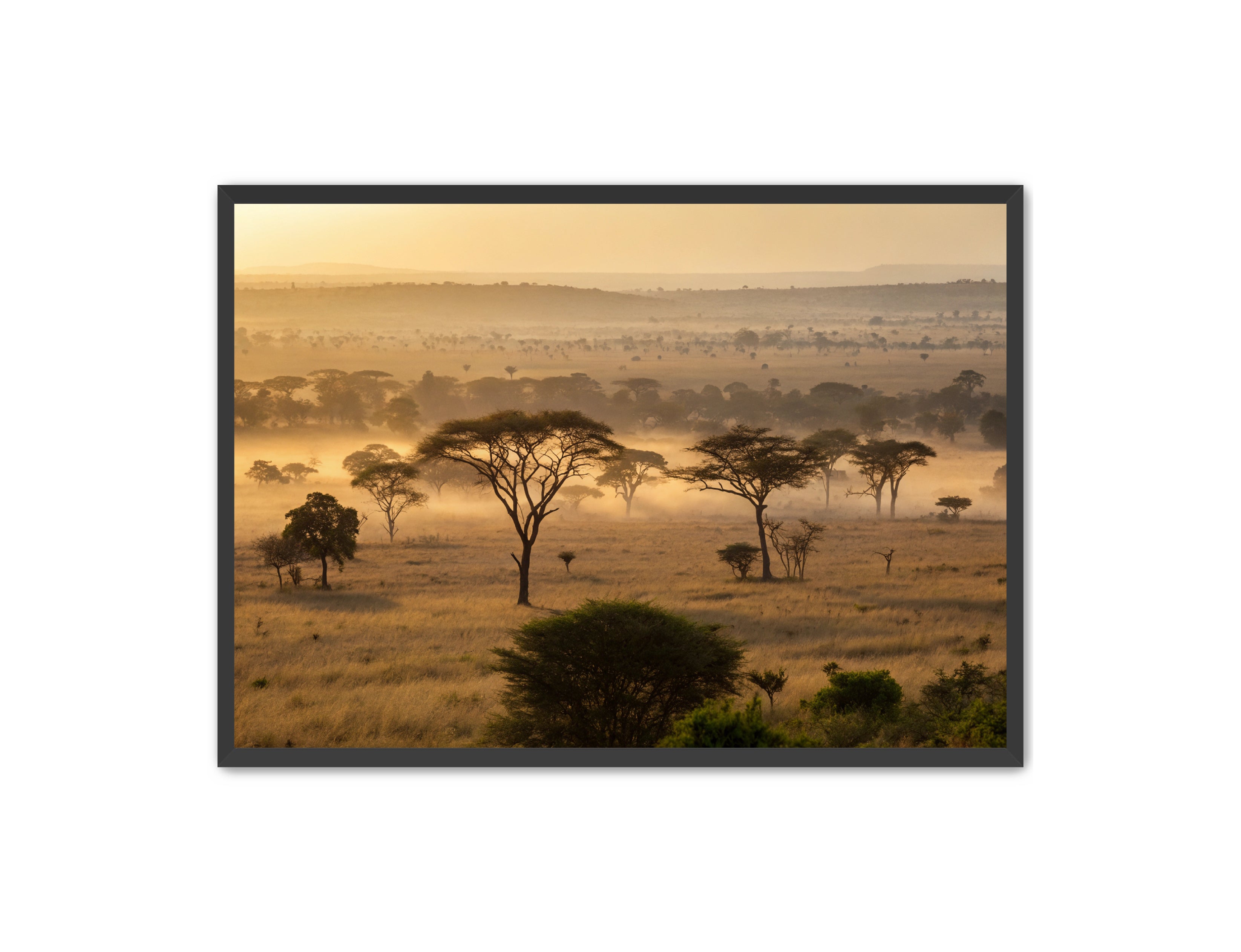 Apricus Prints 'Sunrise on the Serengeti' Apricus Art Collection