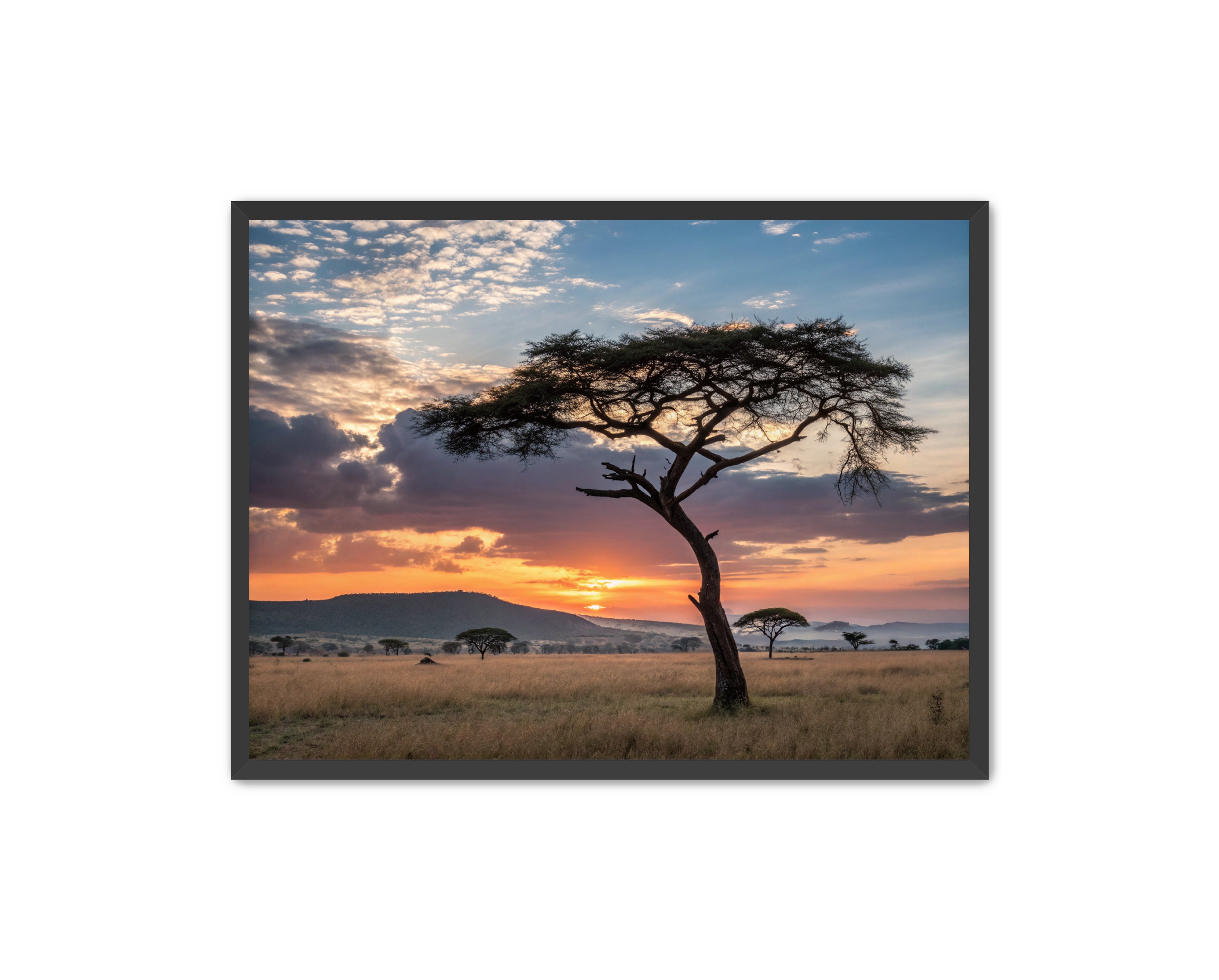 Apricus Prints 'Sunset on the Grounds' Apricus Art Collection