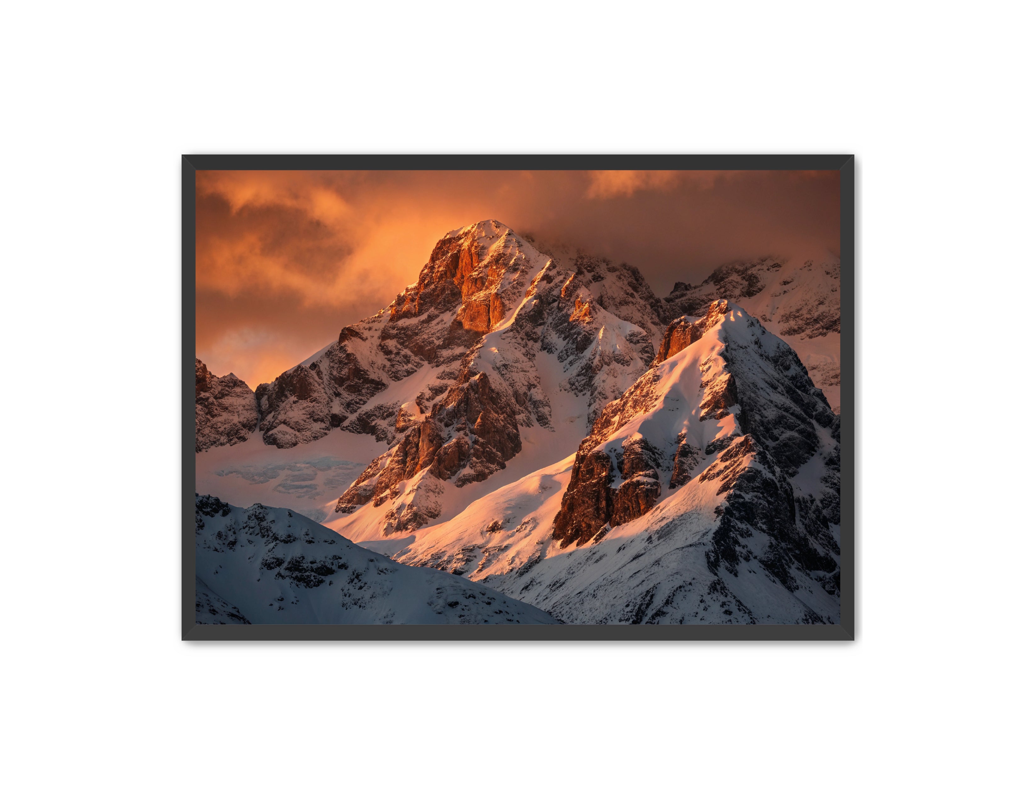 Apricus Prints 'Crimson Crown of the Himalayas' Apricus Art Collection