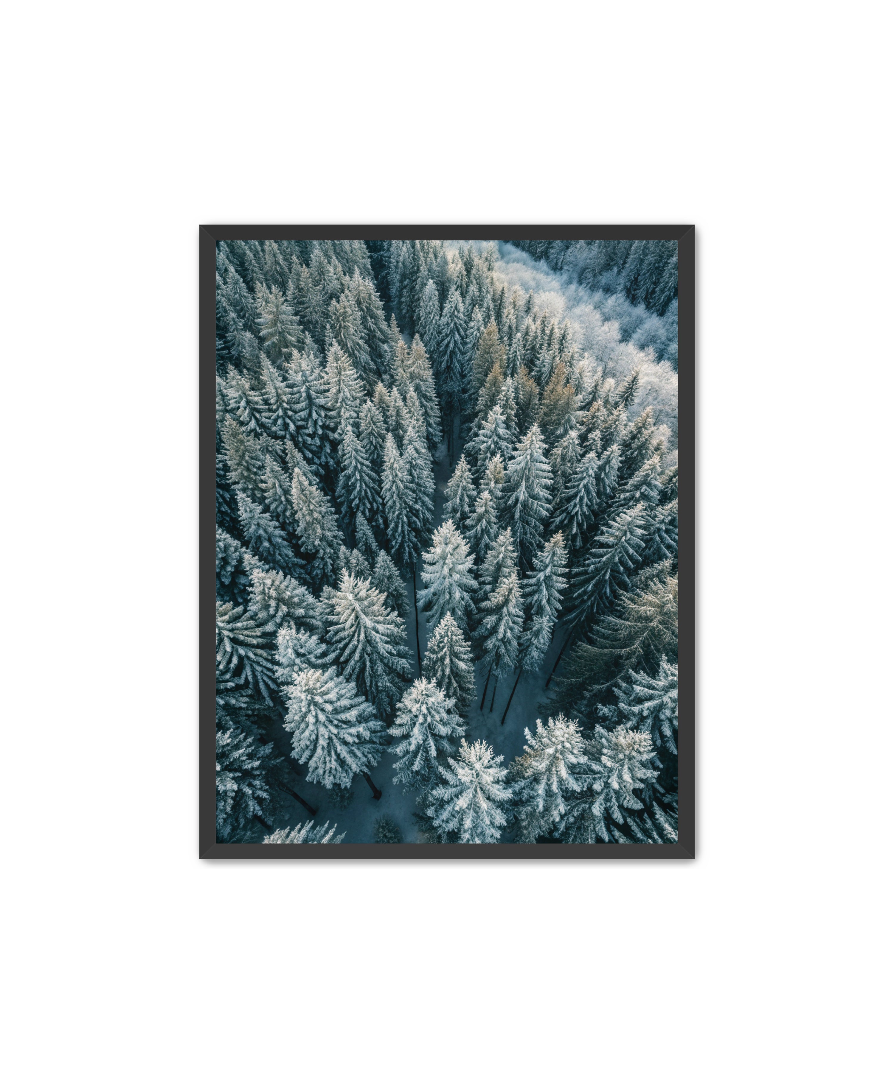 Apricus Prints Nature 'Winter Veins' Apricus Art Collection