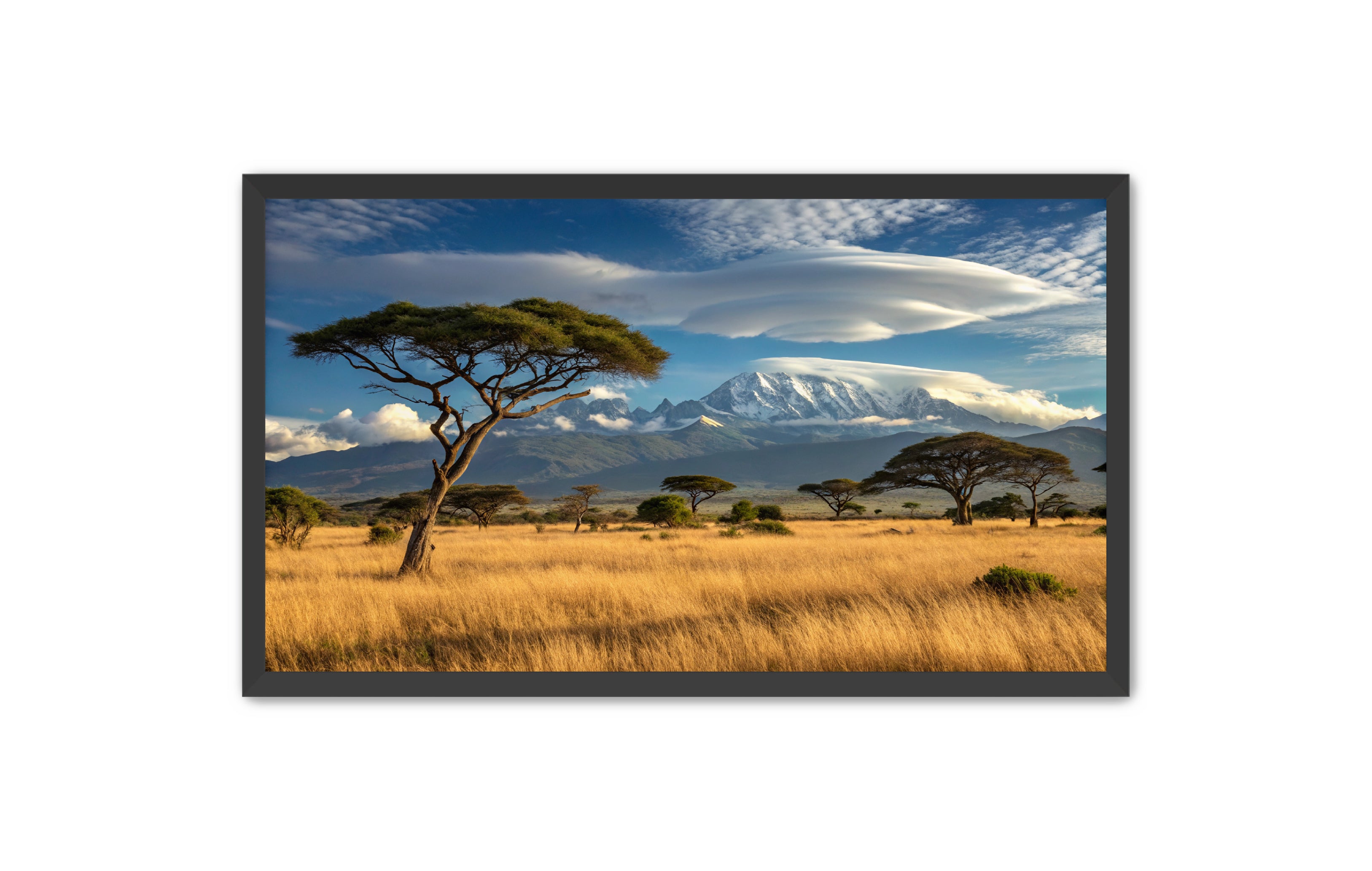 Apricus Prints 'Safari Layers' Apricus Art Collection