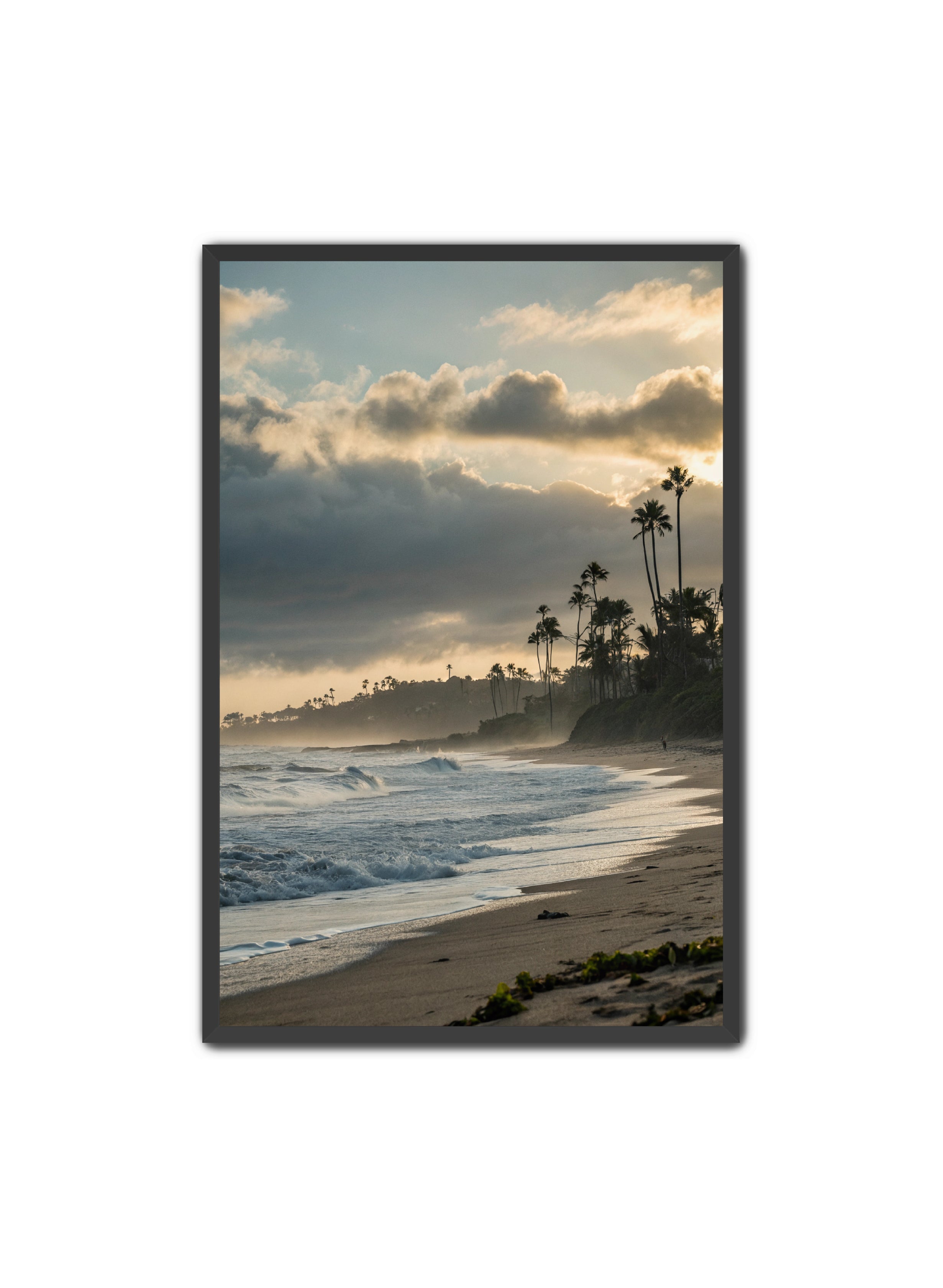 Apricus Prints Beaches 'Coastal Echoes' Apricus Art Collection