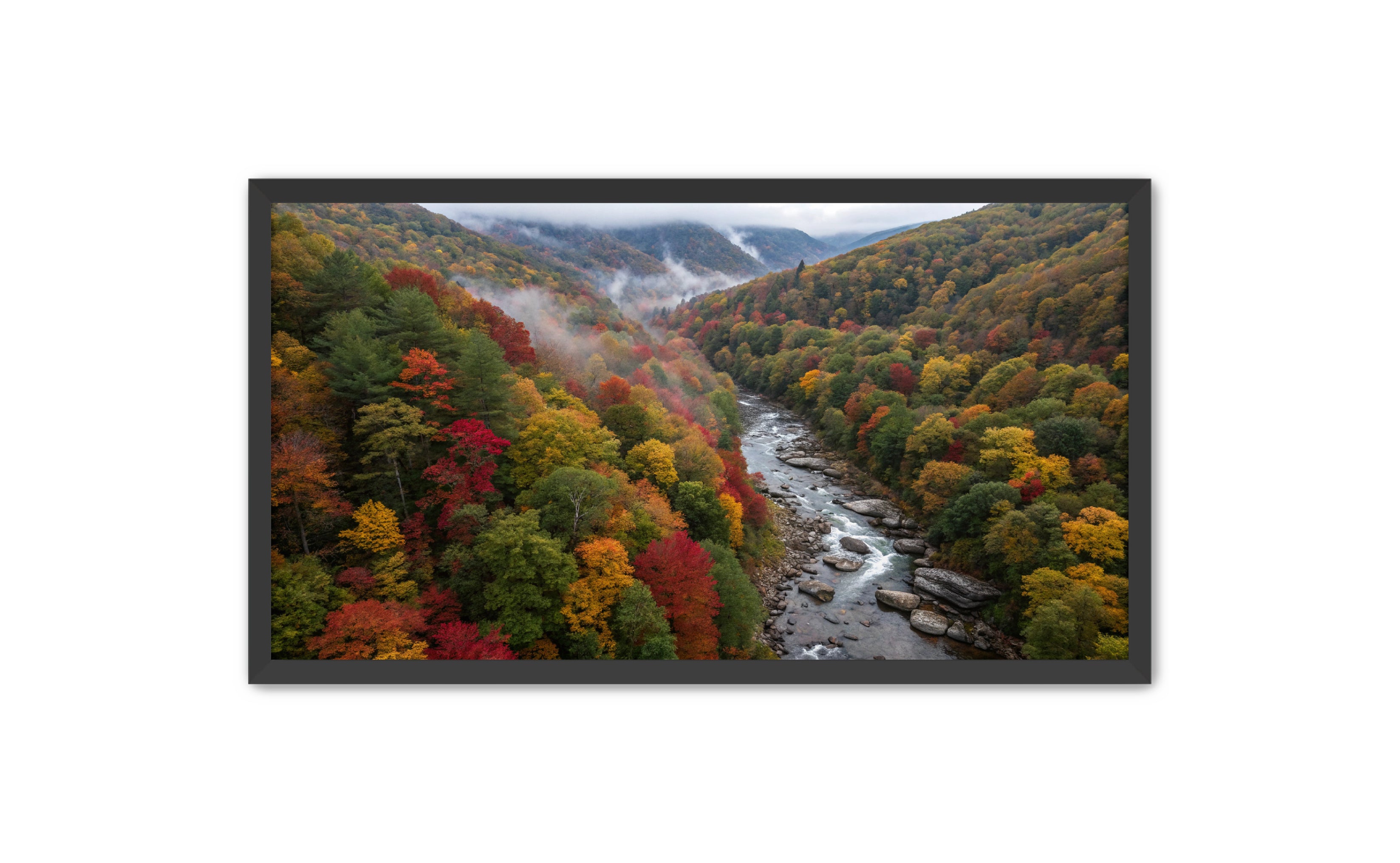 Apricus Prints 'Stick River' Apricus Art Collection