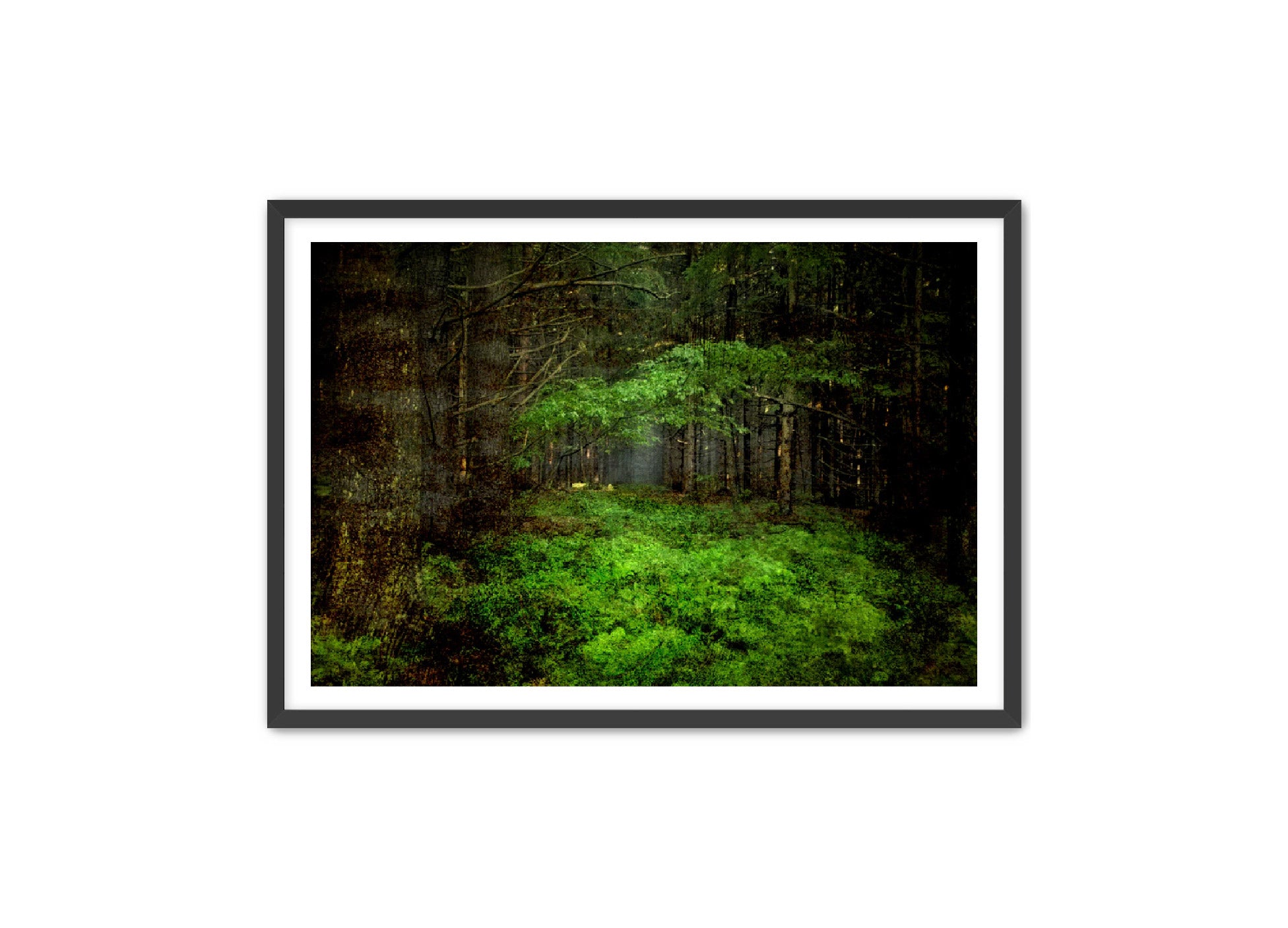 PhotoArt Prints 'TEXTURED TREES 3' Danielle Neumann Kelly