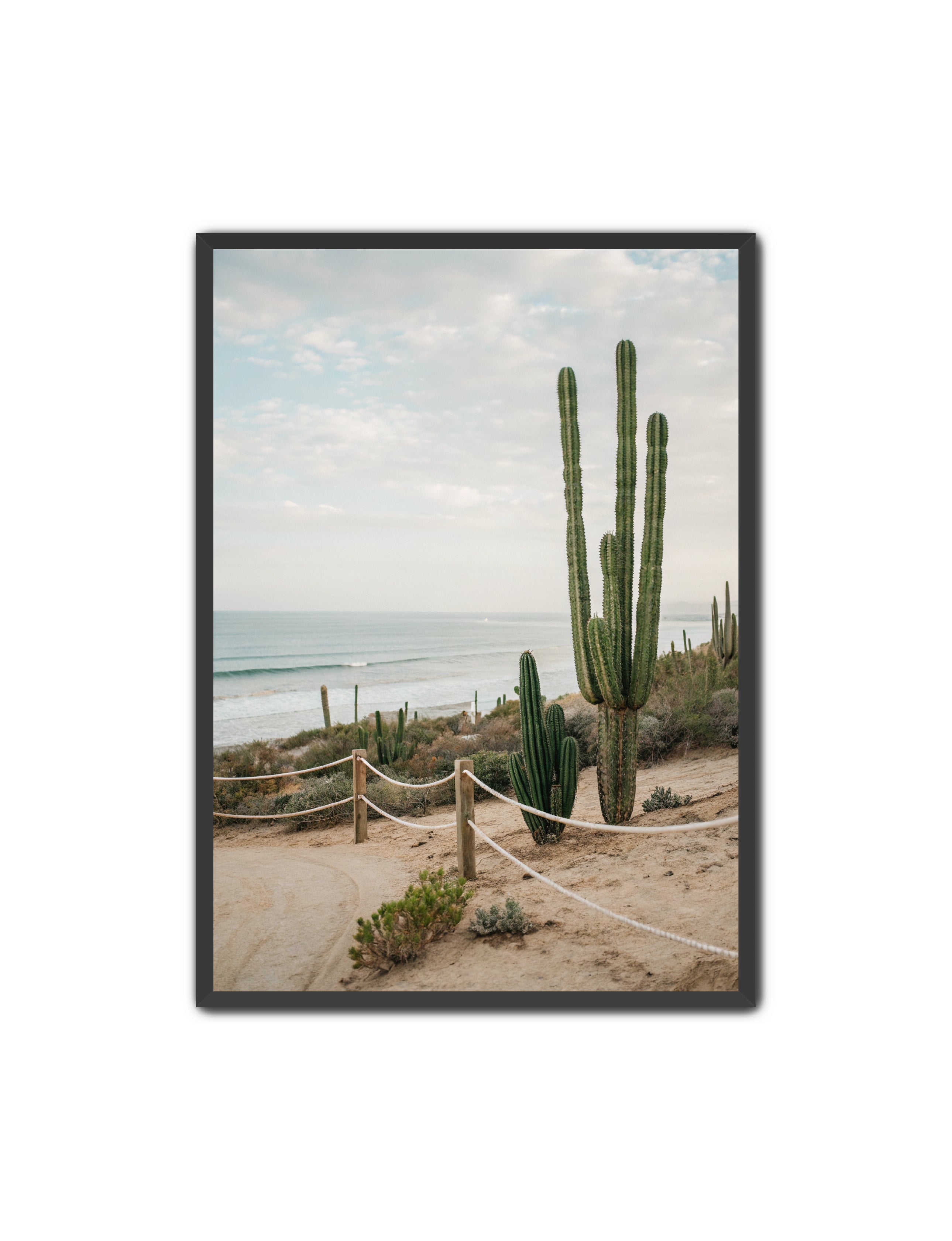 Apricus Prints Beaches 'SoCal' Apricus Art Collection