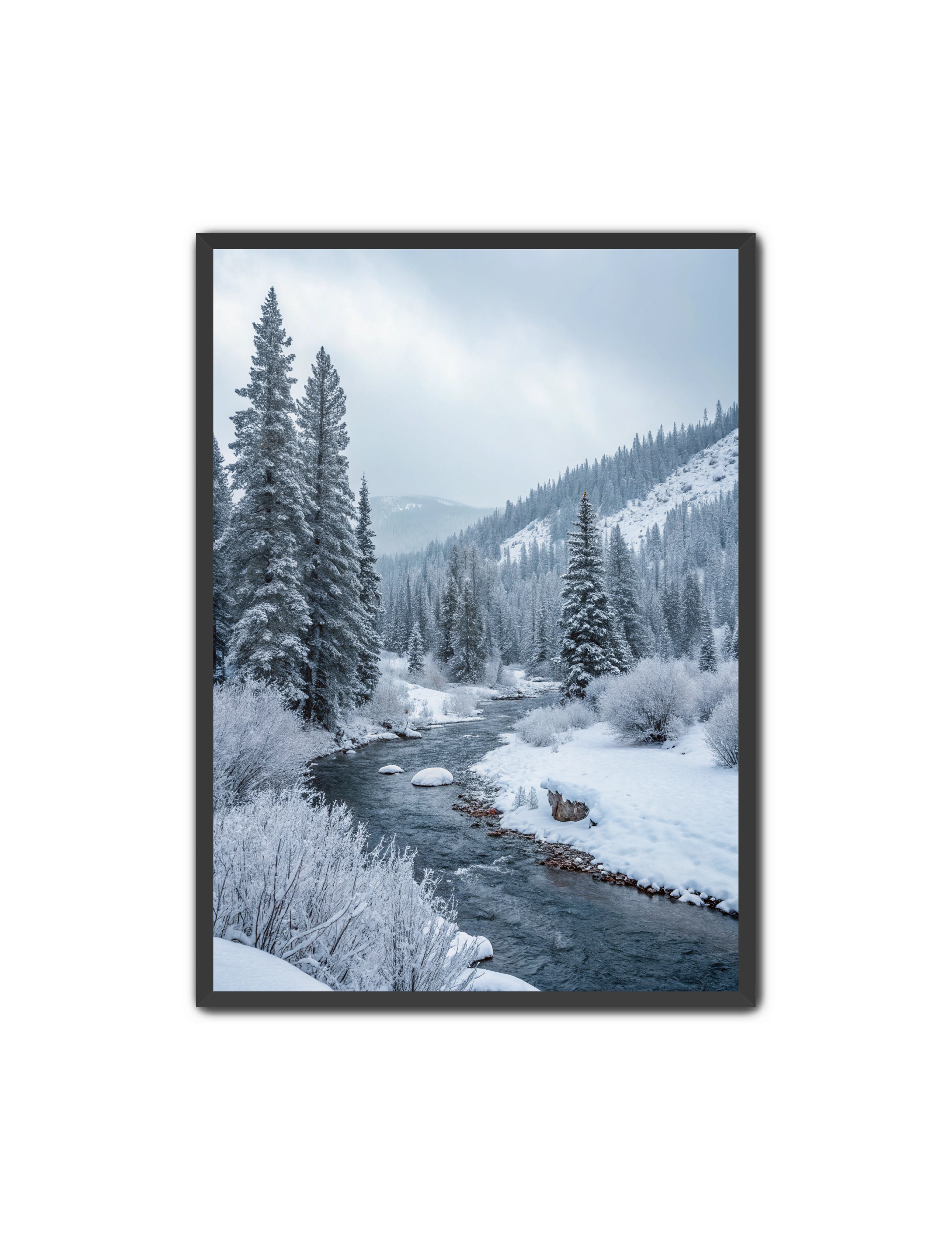 Apricus Prints 'Frozen Flow' Apricus Art Collection