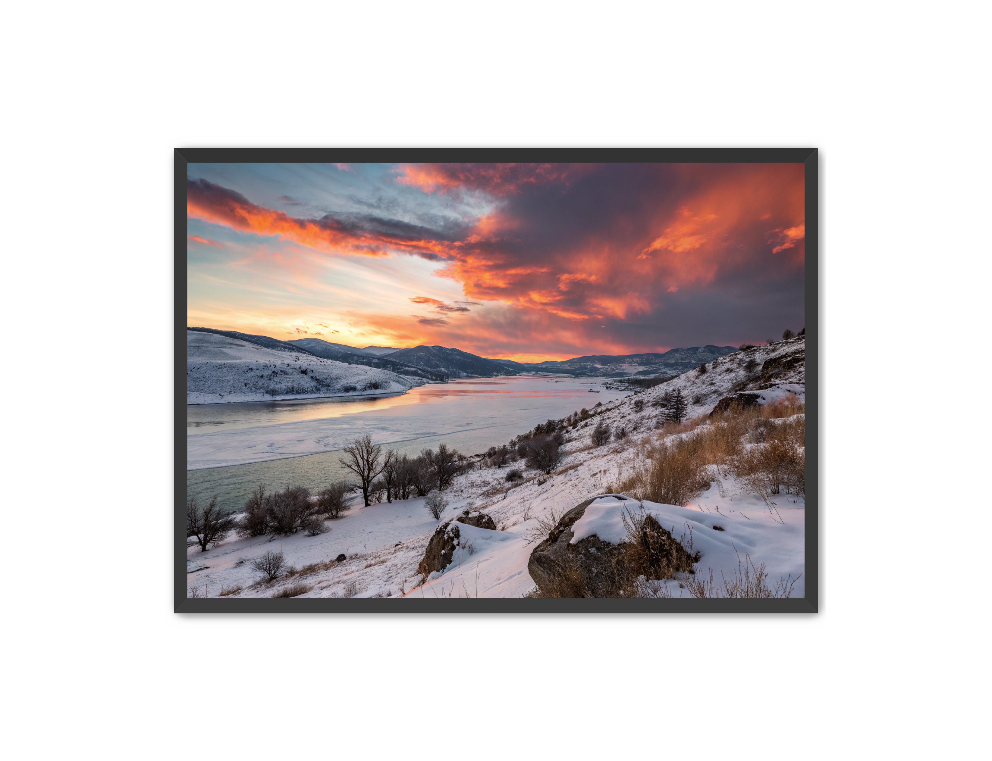 Apricus Prints 'Winter Reds' Apricus Art Collection