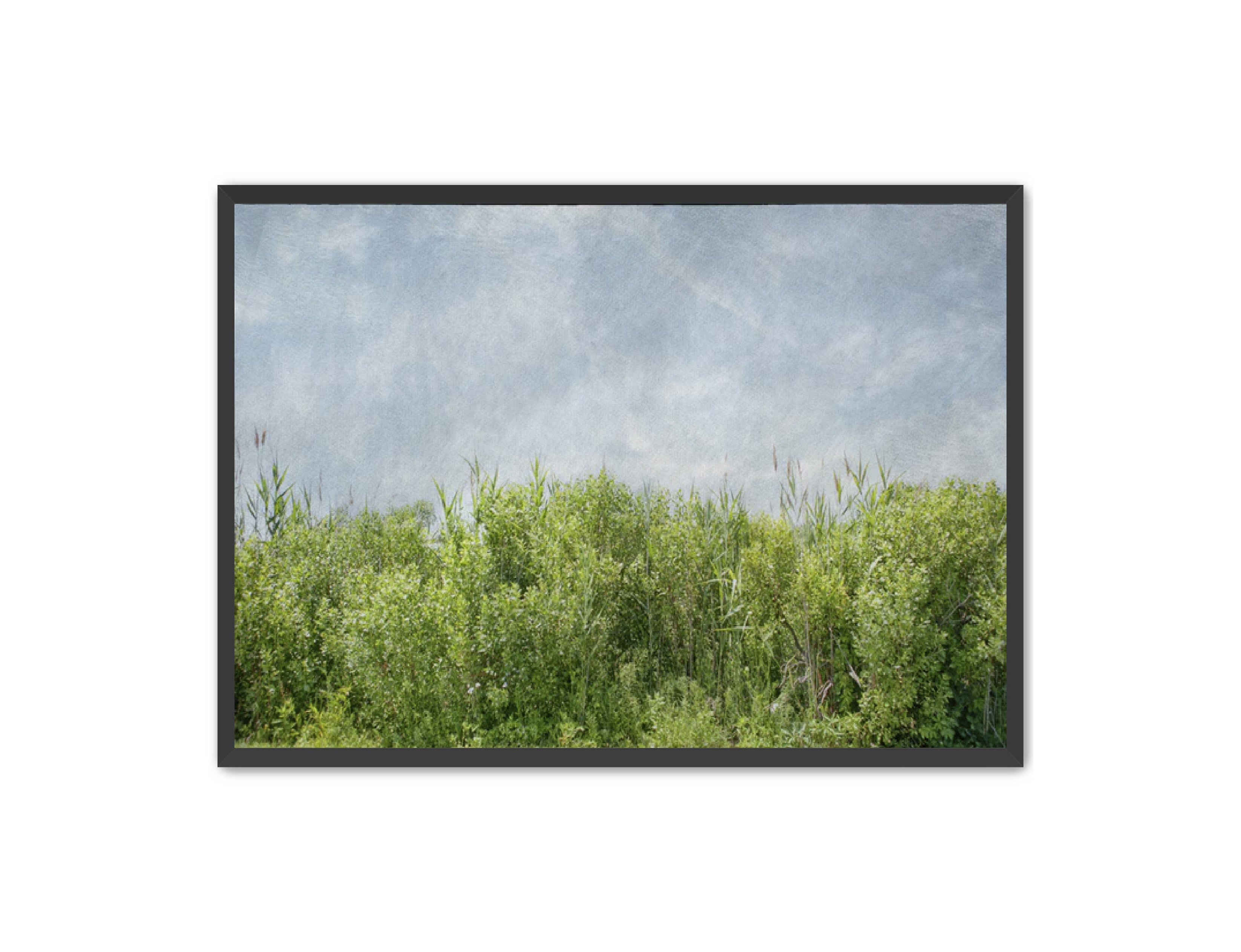 PhotoArt Prints 'BEACH BRIAR' Danielle Neumann Kelly