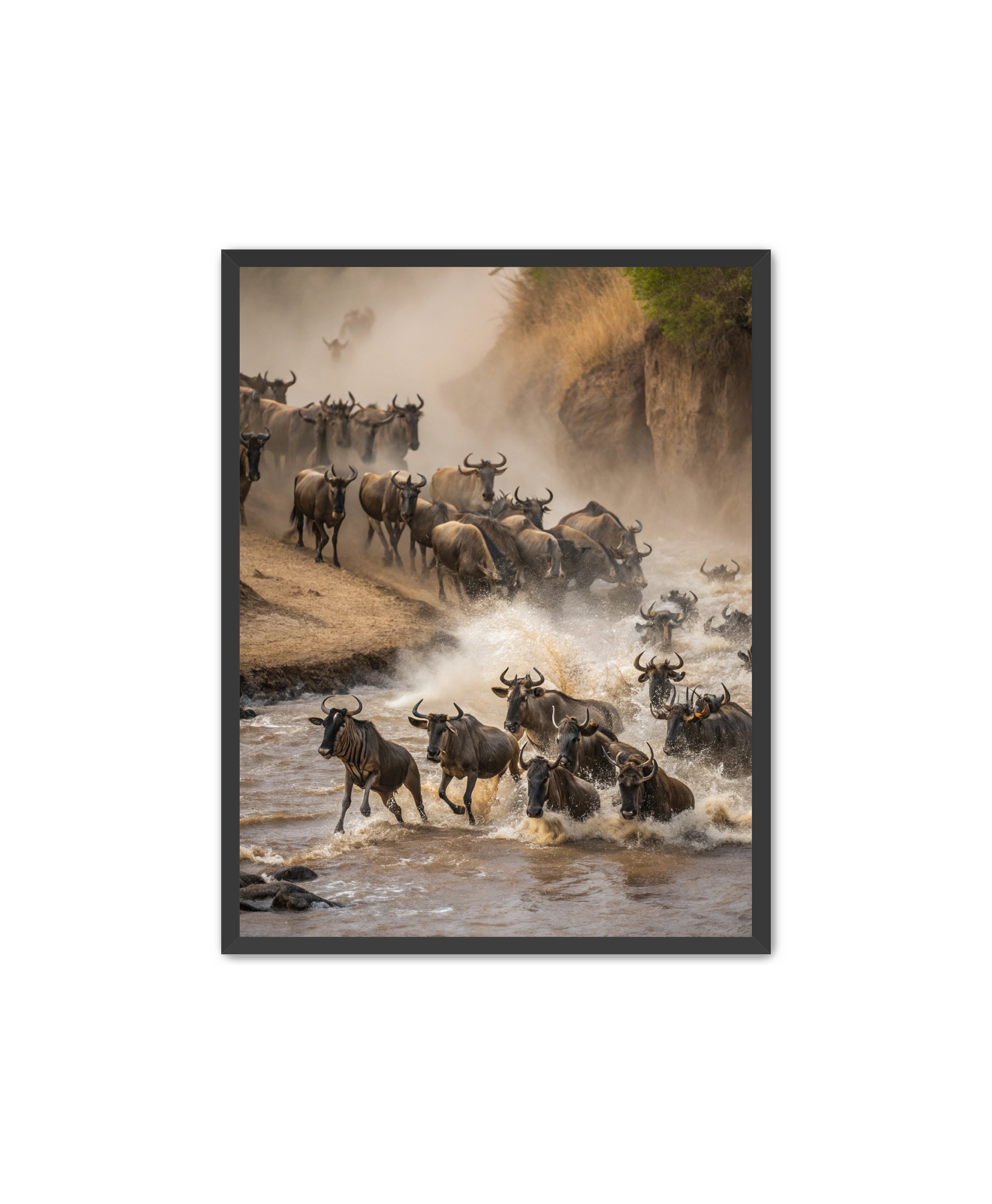 Apricus Prints 'Stampede Crossing' Apricus Art Collection