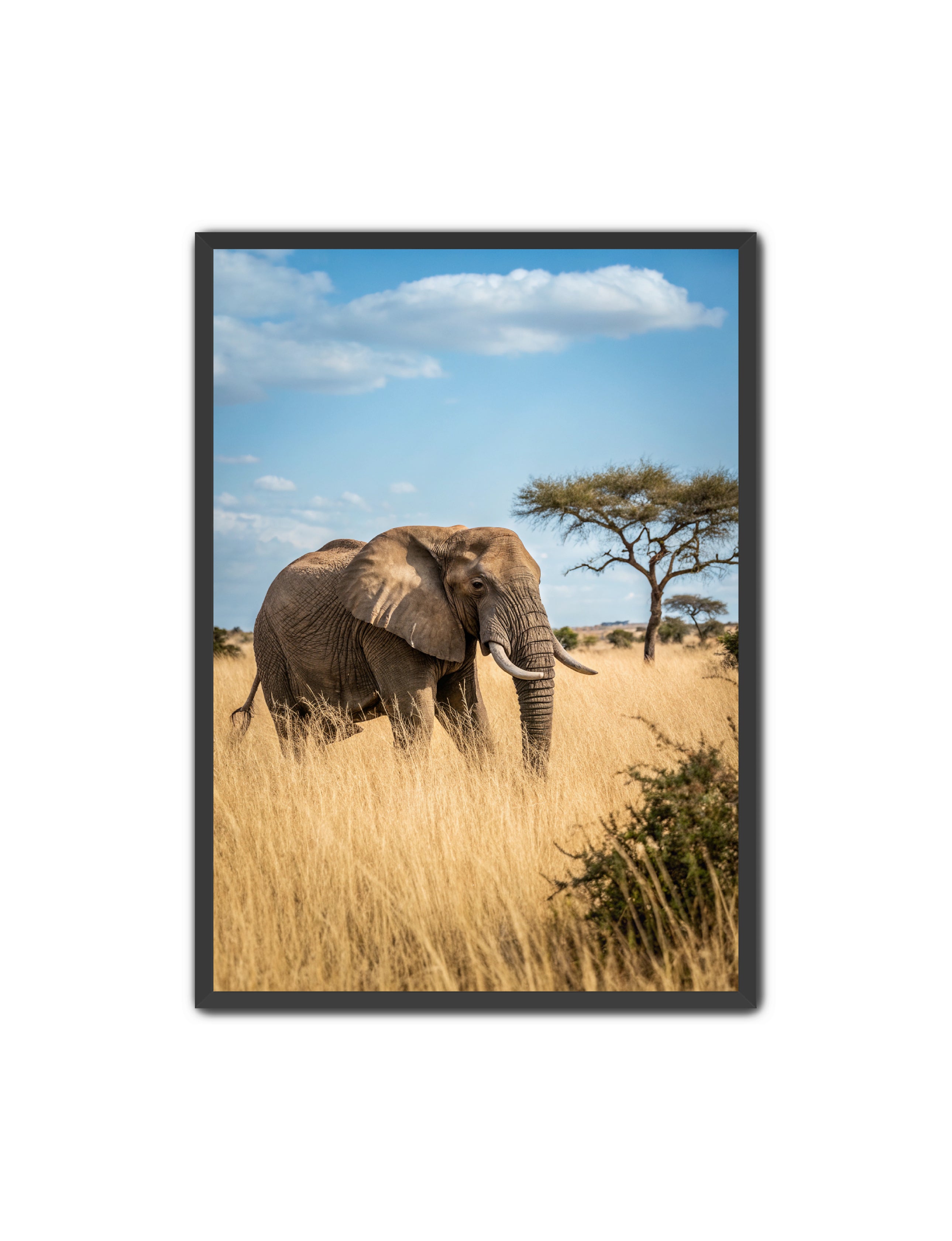 Apricus Prints 'Ellie, The Gentle Giant' Apricus Art Collection