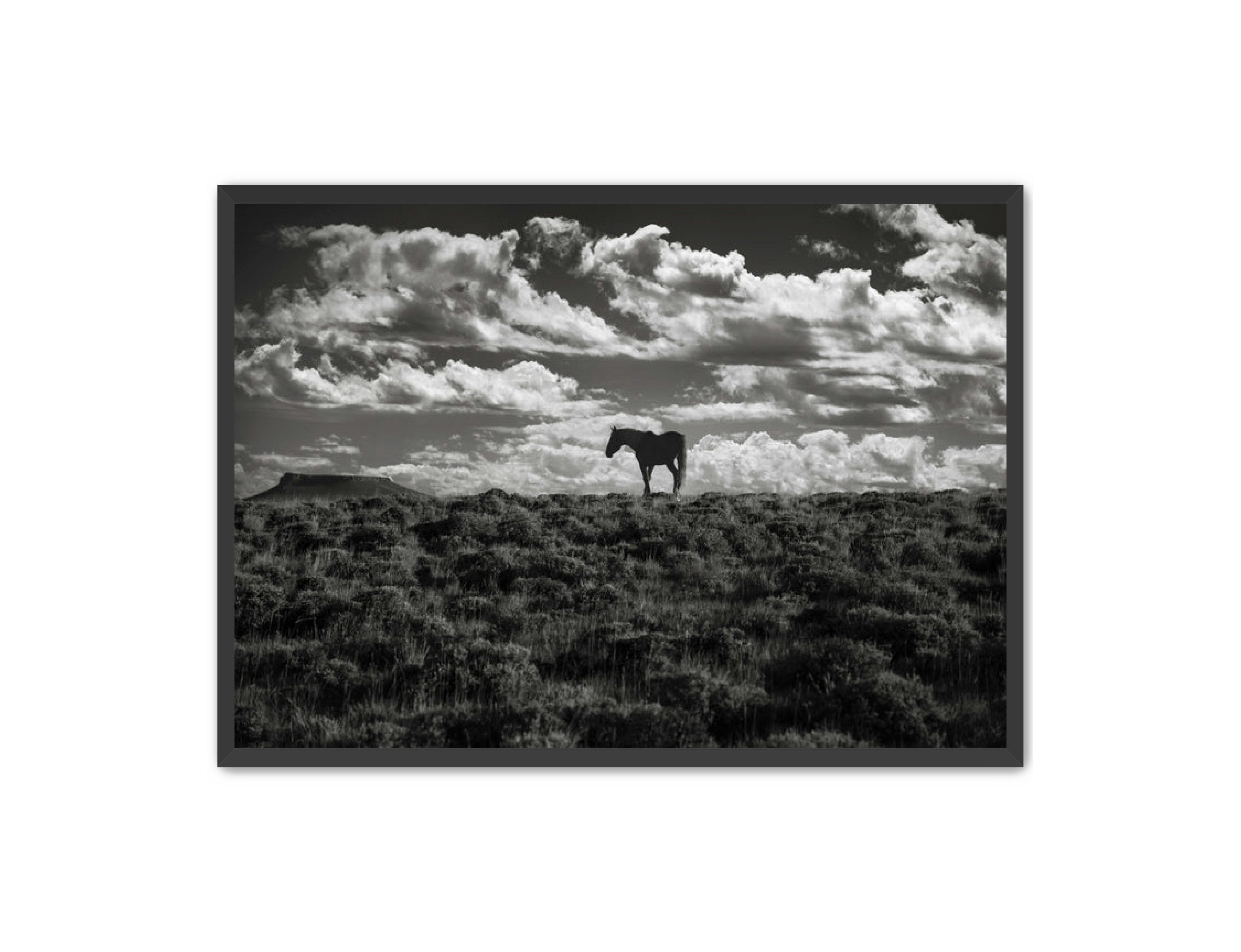 Photography Prints 'Open Range' Reed Decker