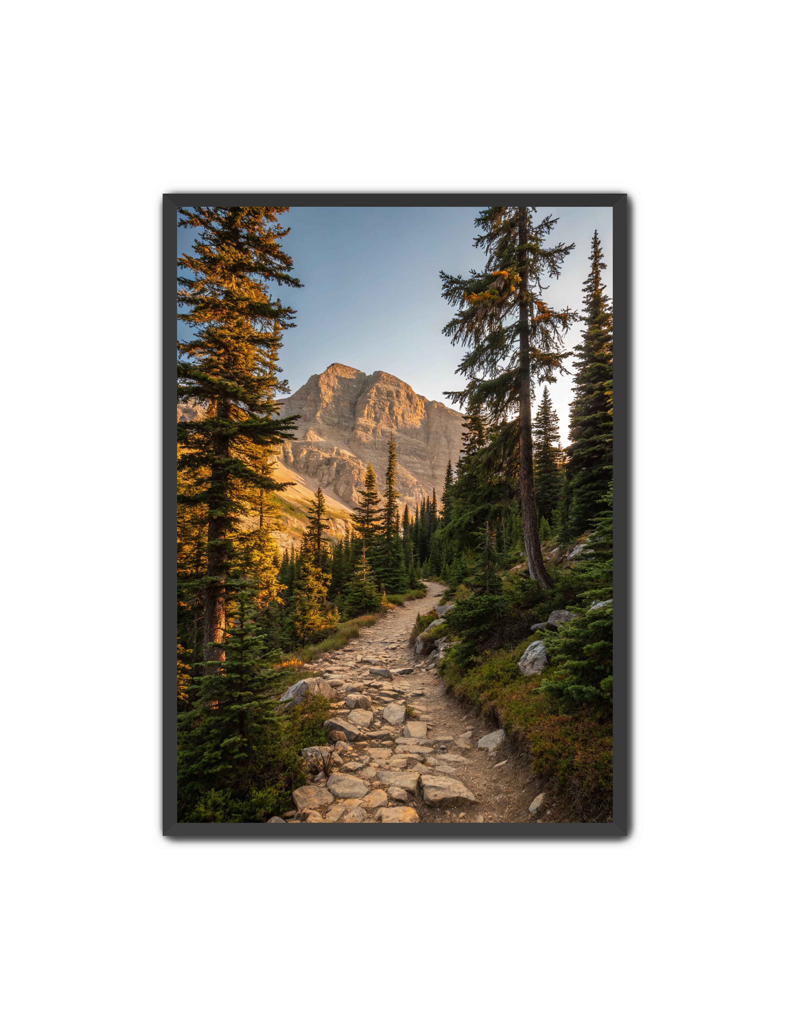 Apricus Prints 'Rocky Mountain Way' Apricus Art Collection