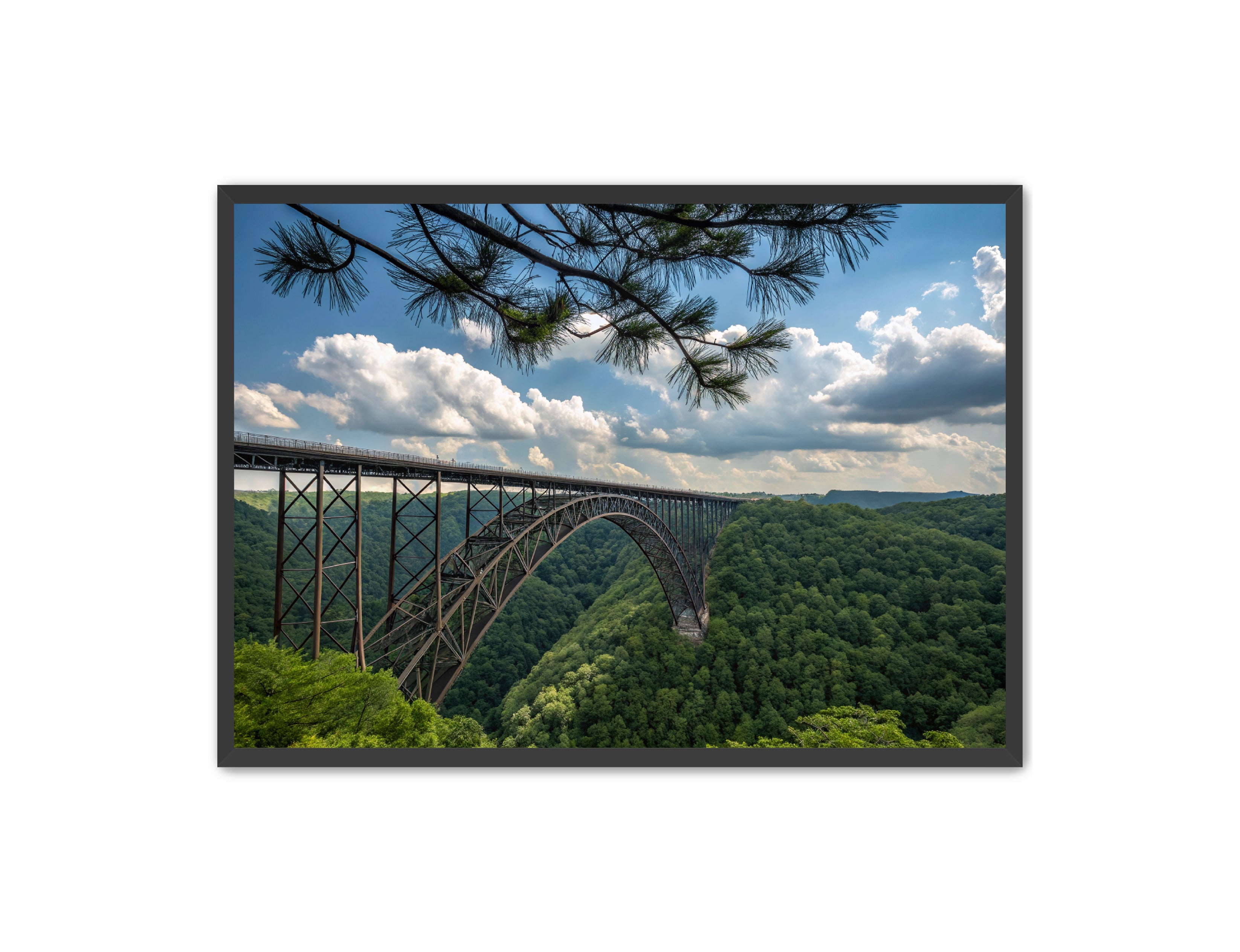 Apricus Prints 'Wild & Wonderful, West Virginia' Apricus Art Collection