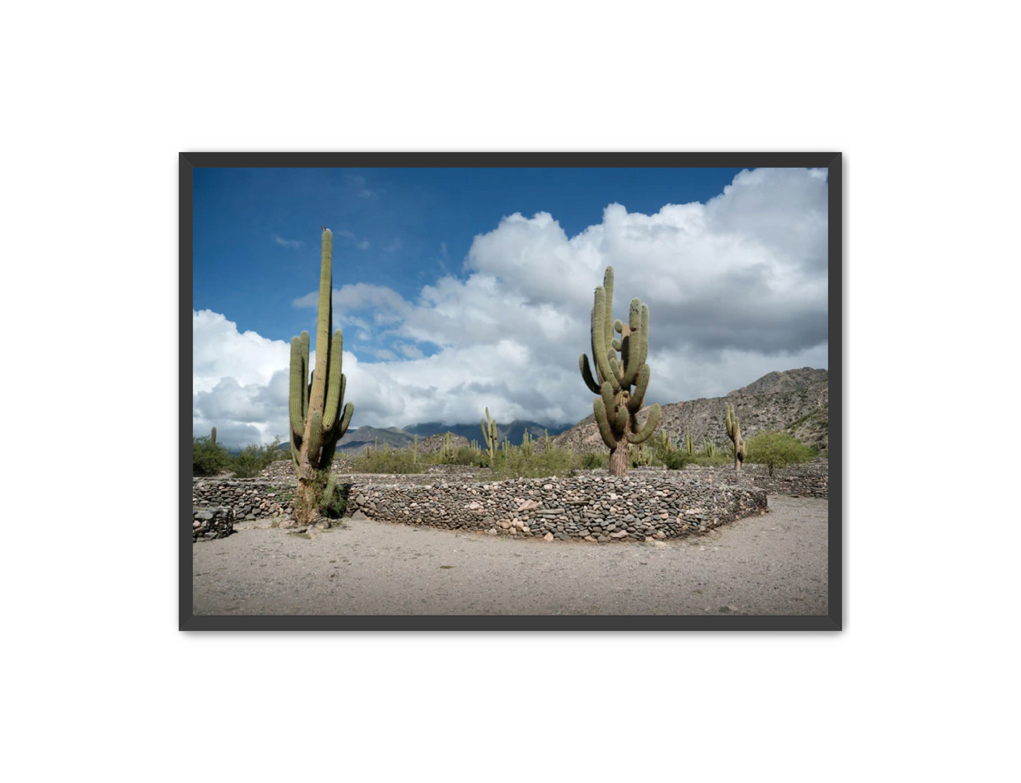 Landscape Photography Prints 'Cactus on the way' Aline Karagozlu