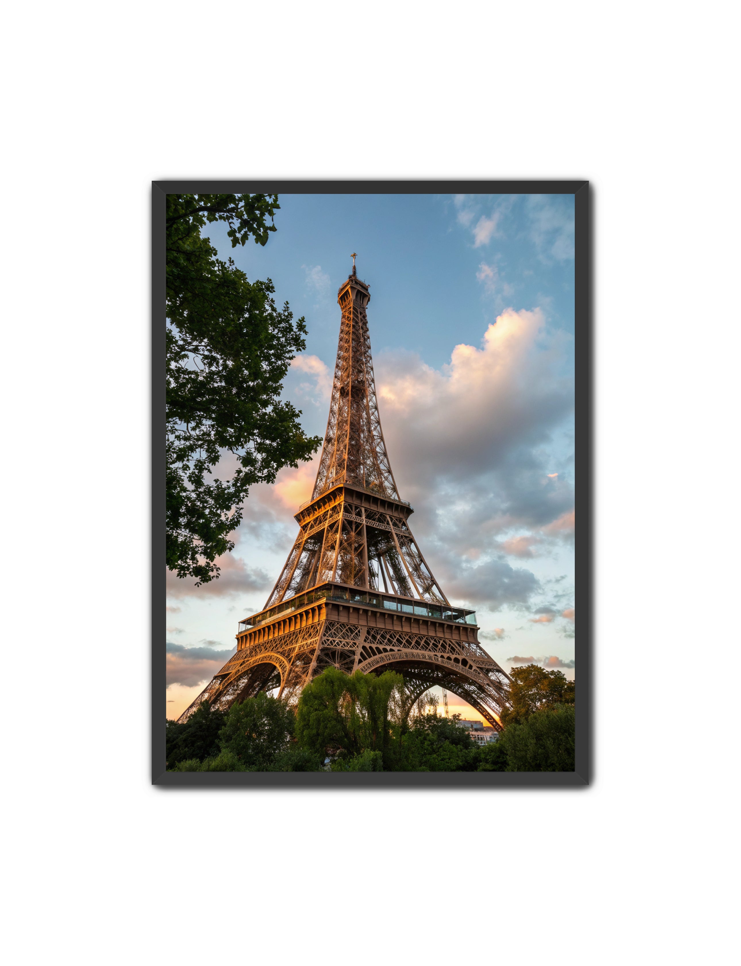 Apricus Prints 'Paris Bloom' Apricus Art Collection