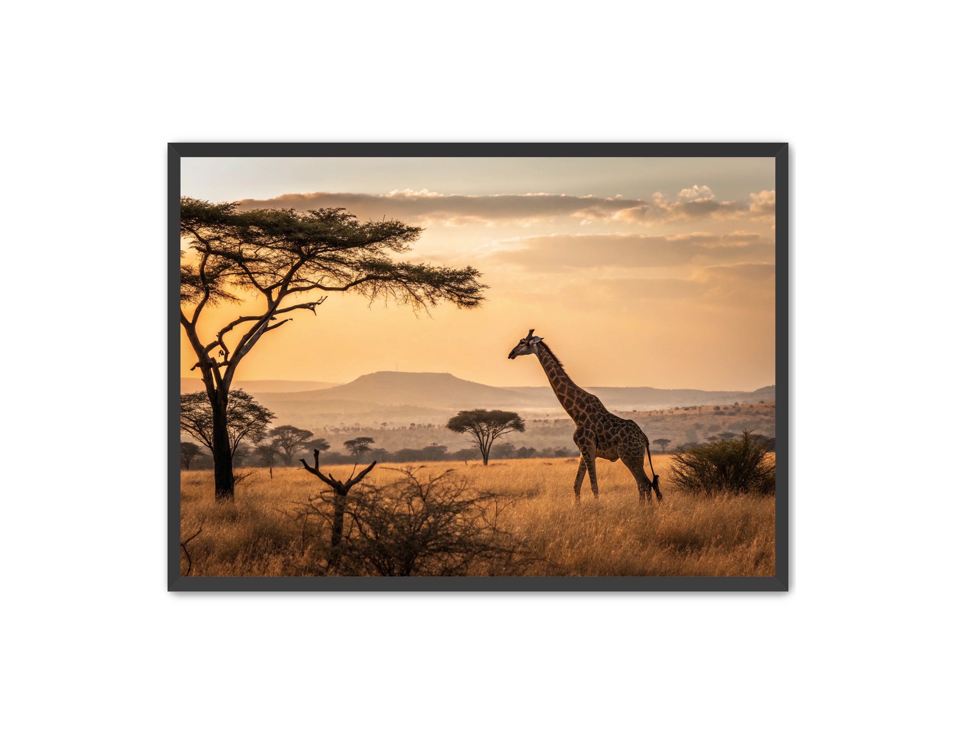 Apricus Prints 'Homeward Bound' Apricus Art Collection