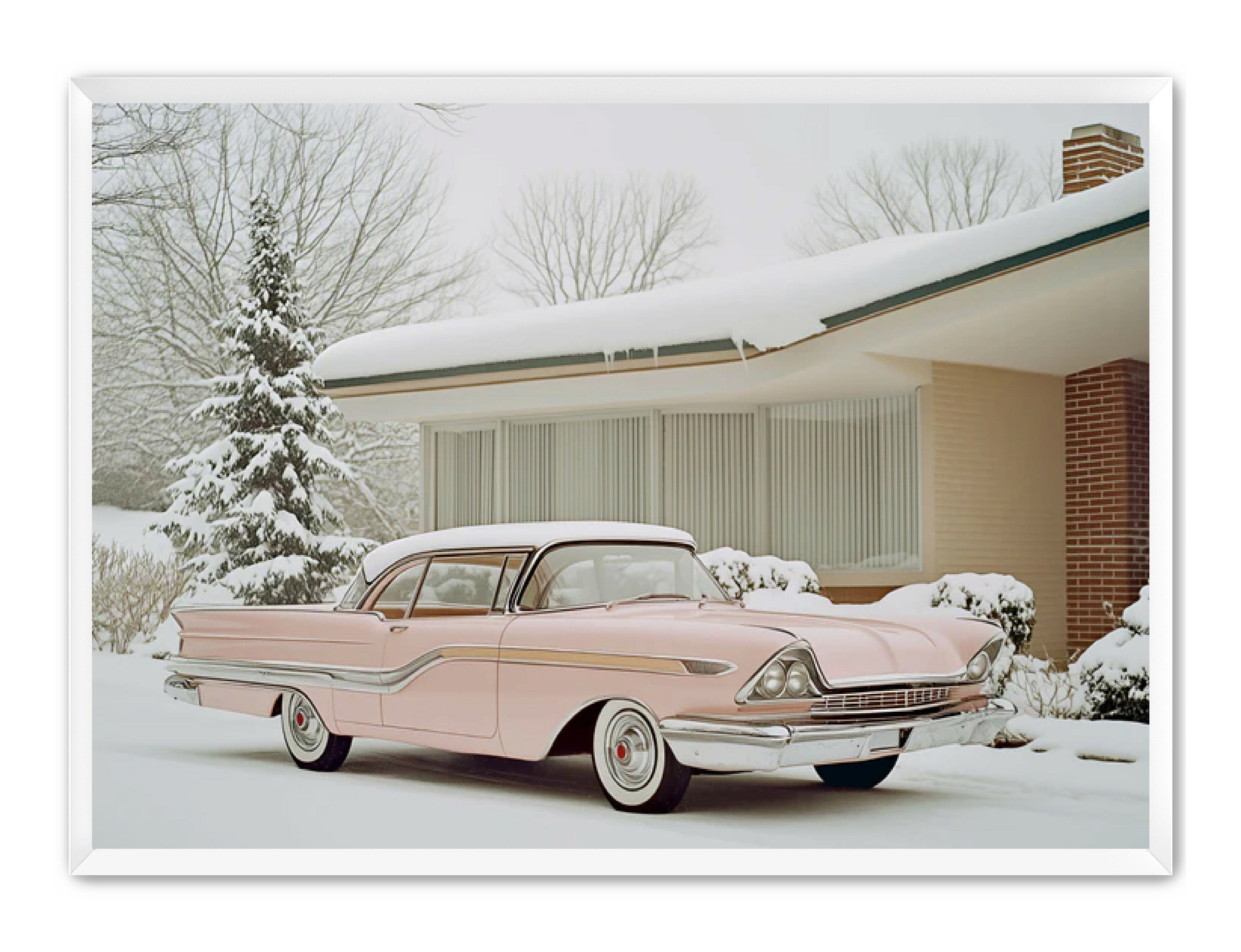 Photography Prints 'Pink Lady' Reed Decker