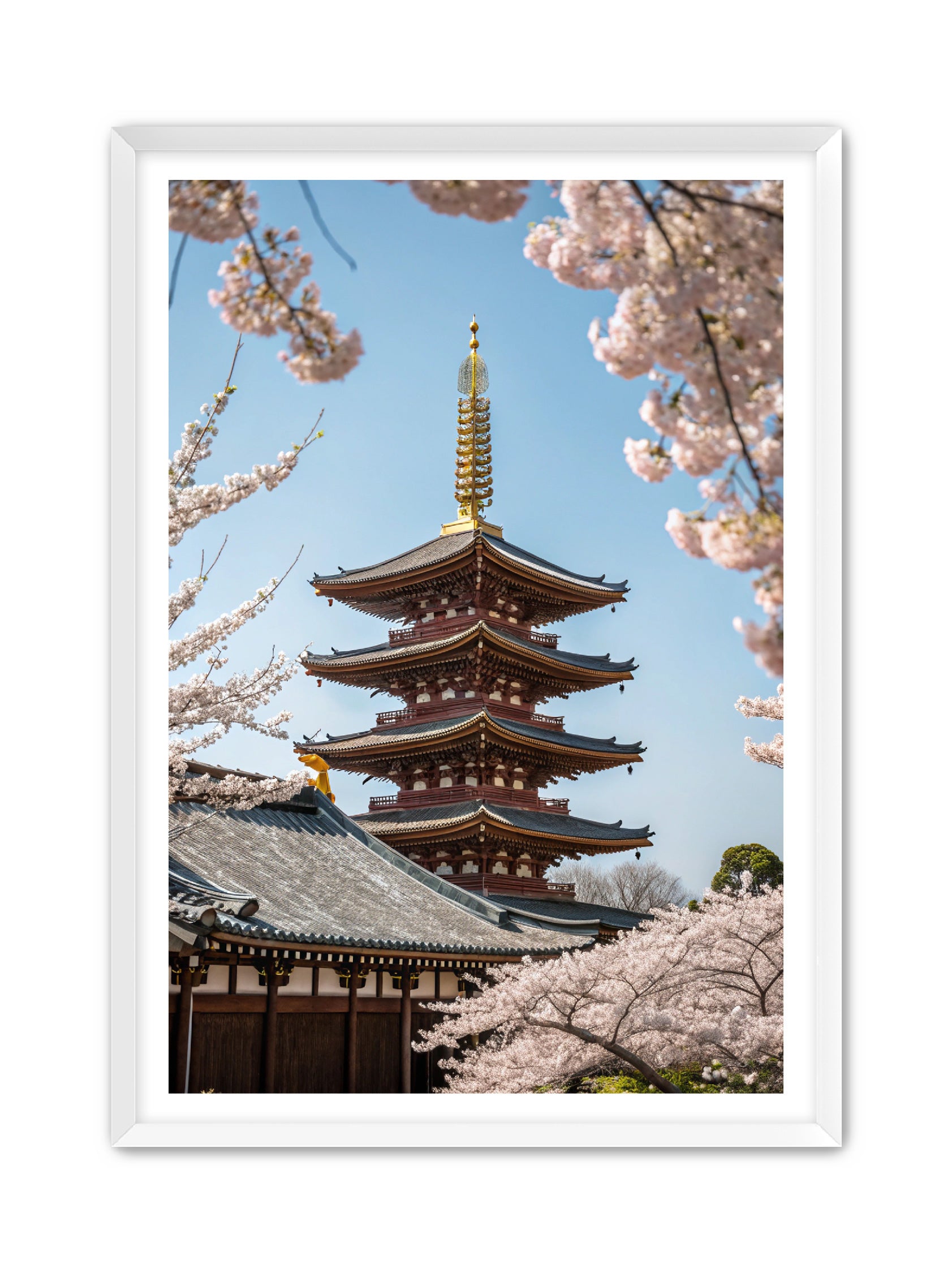 Apricus Prints 'Blossom Fortress' Apricus Art Collection