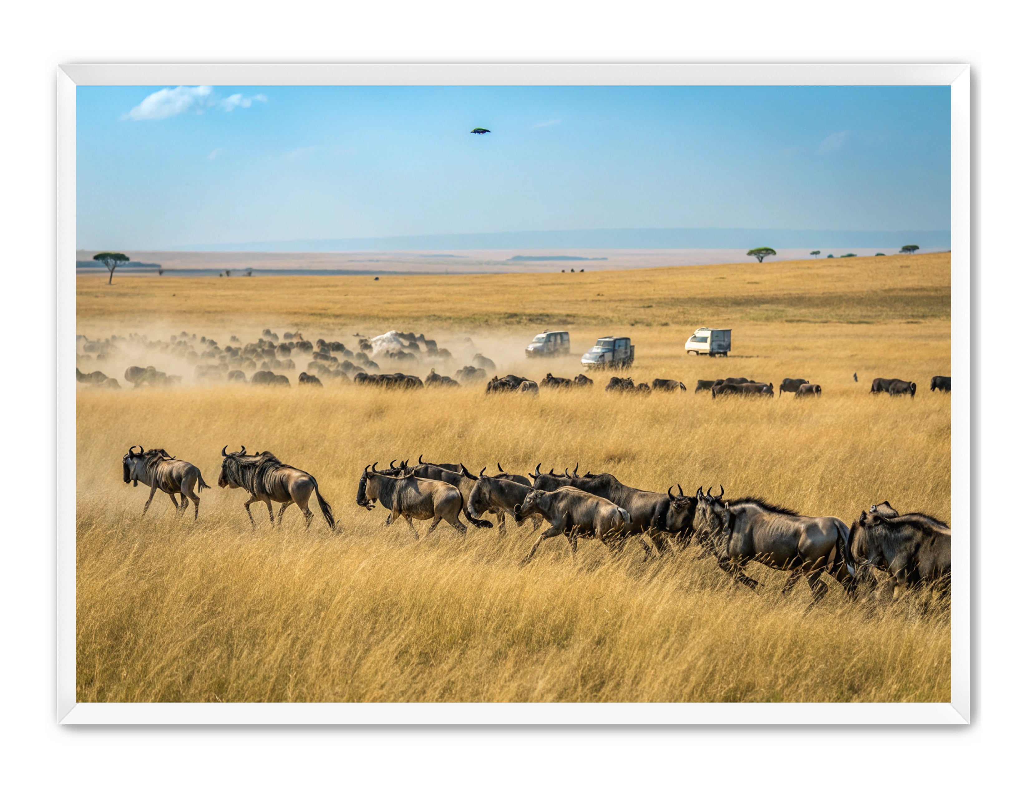 Apricus Prints 'Serengeti Stampede' Apricus Art Collection