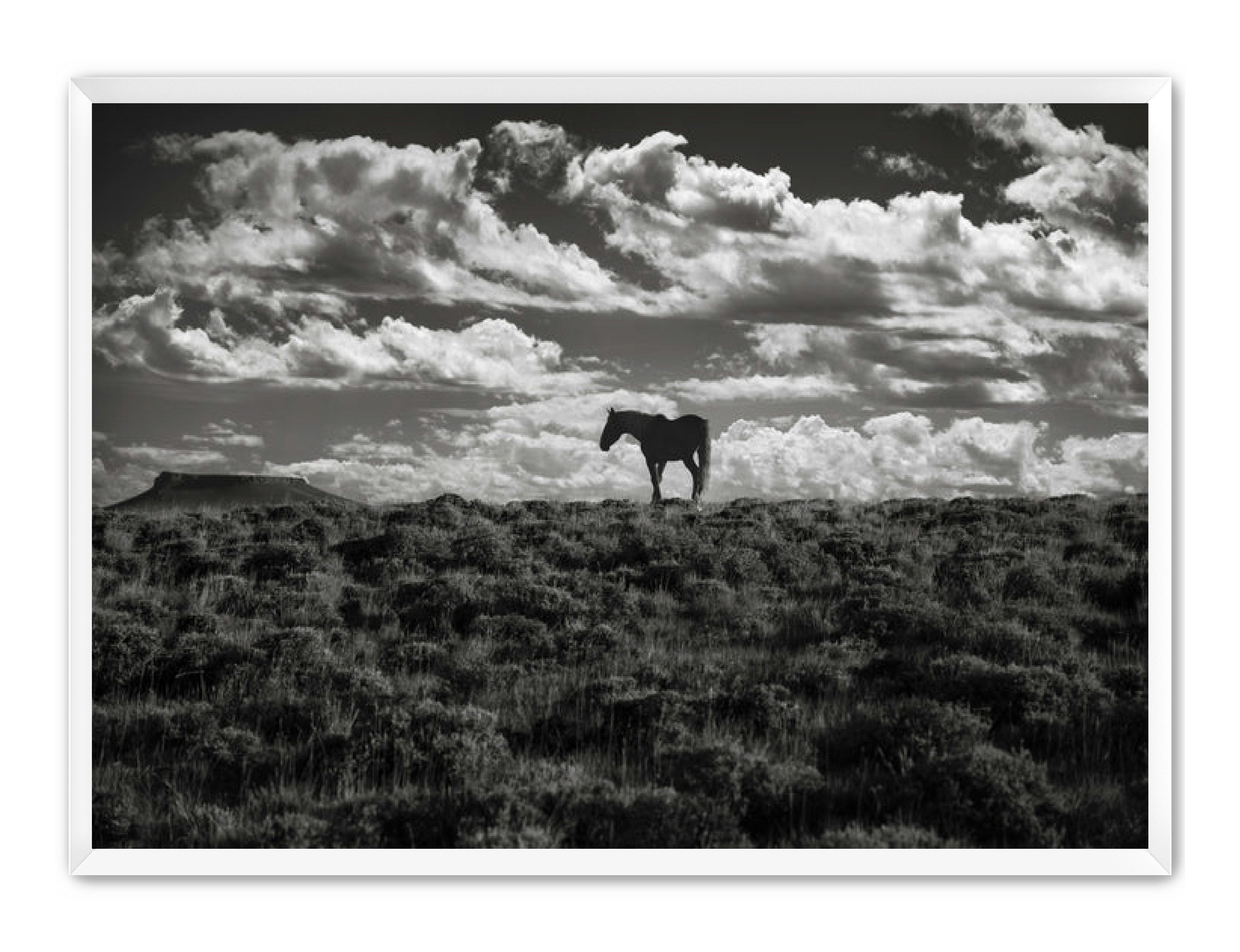 Photography Prints 'Open Range' Reed Decker