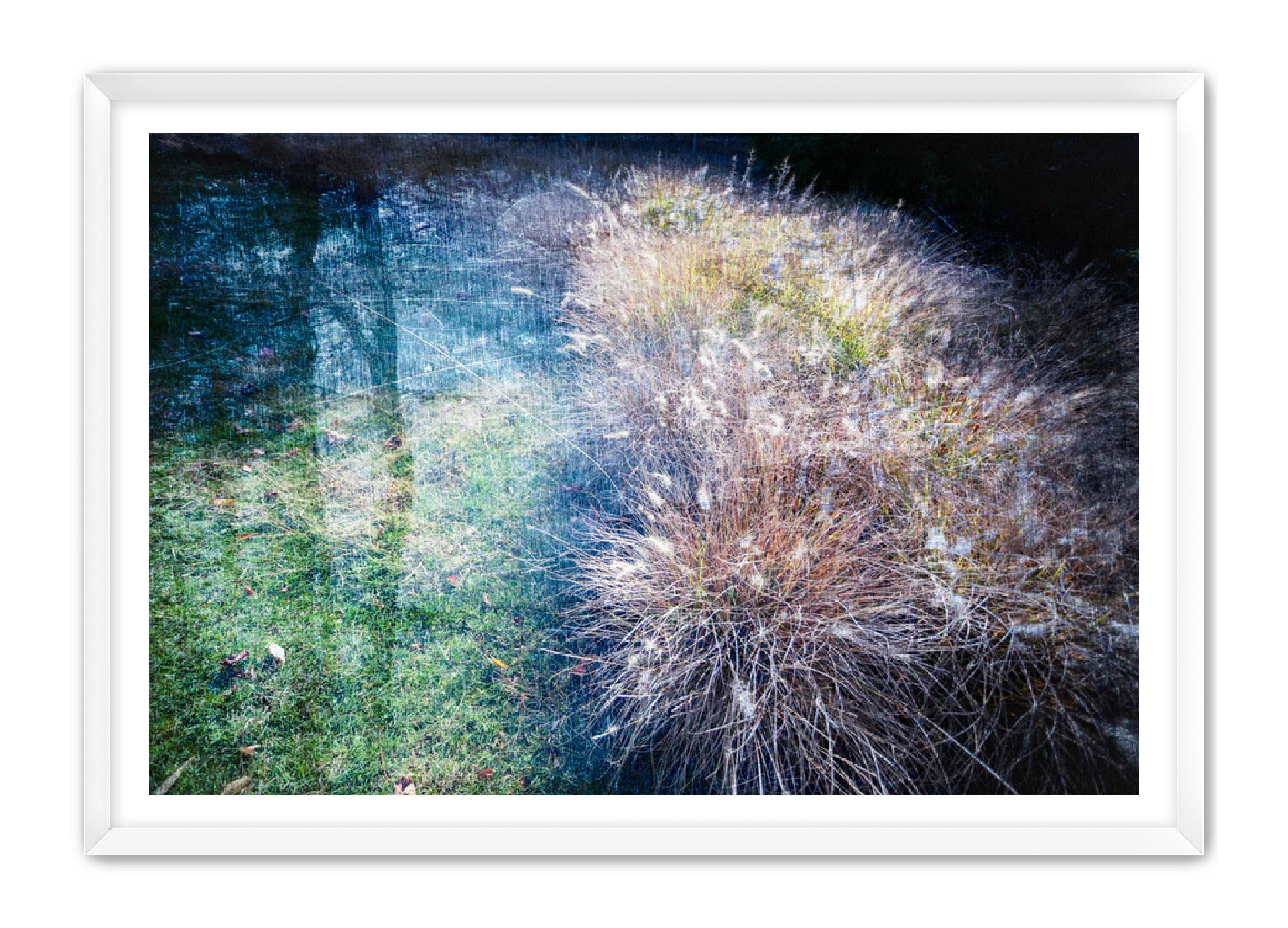 PhotoArt Prints 'GRASSES' Danielle Neumann Kelly