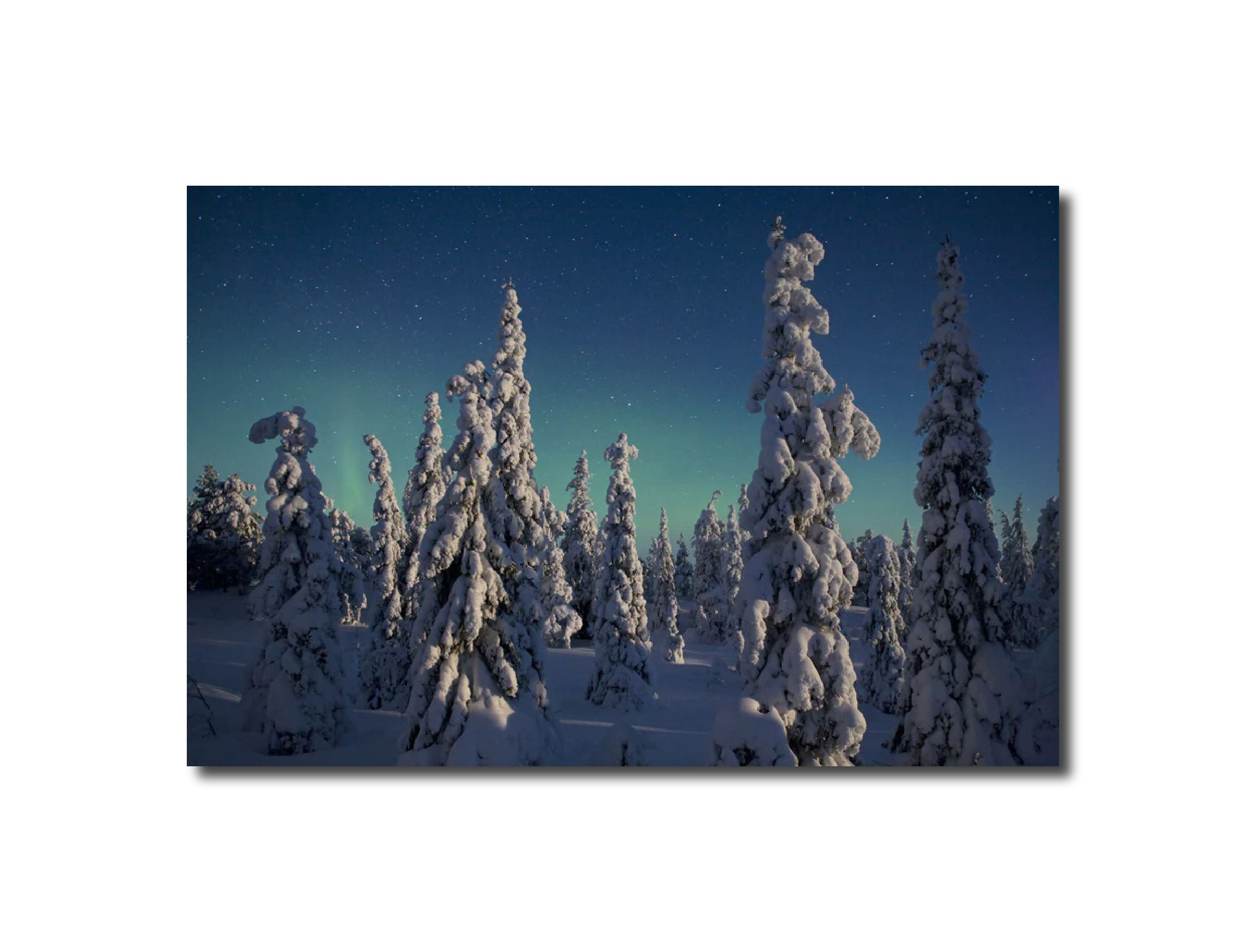 Landscape Photography Moonlight, Oulanka National Park, Finland. Peter Essick